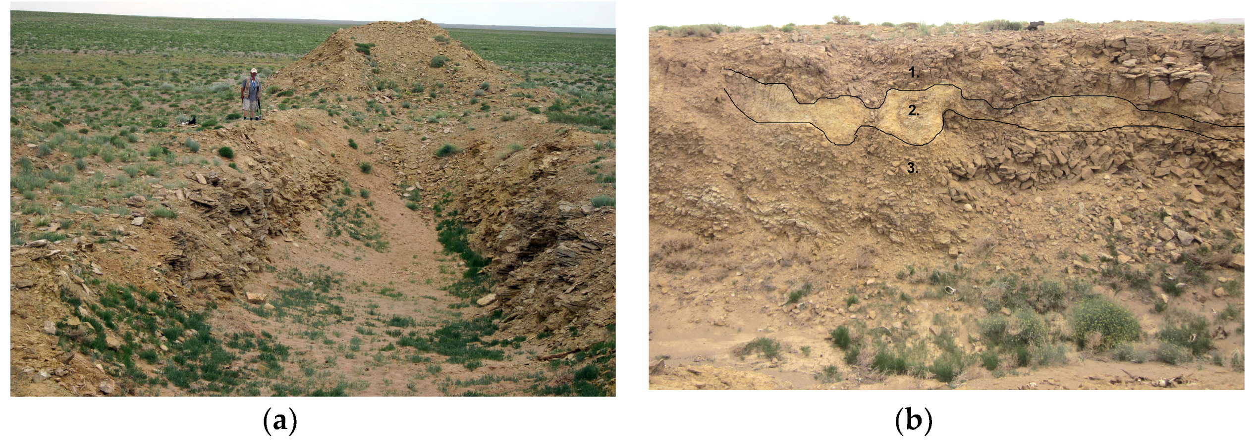 Minerals 10 00307 g008