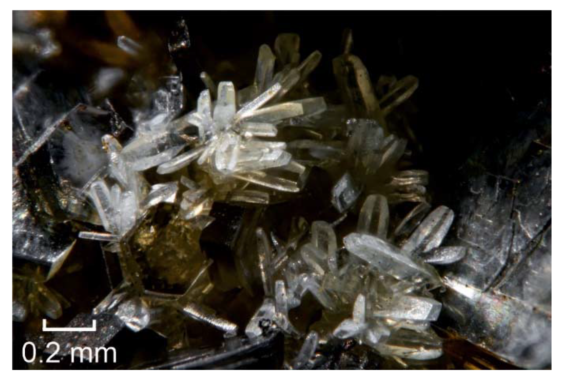 Minerals 10 00322 g001 Minerals 10 00322 g001