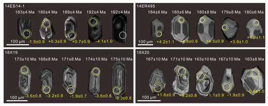 Genesis of Early–Middle Jurassic Intrusive Rocks in the