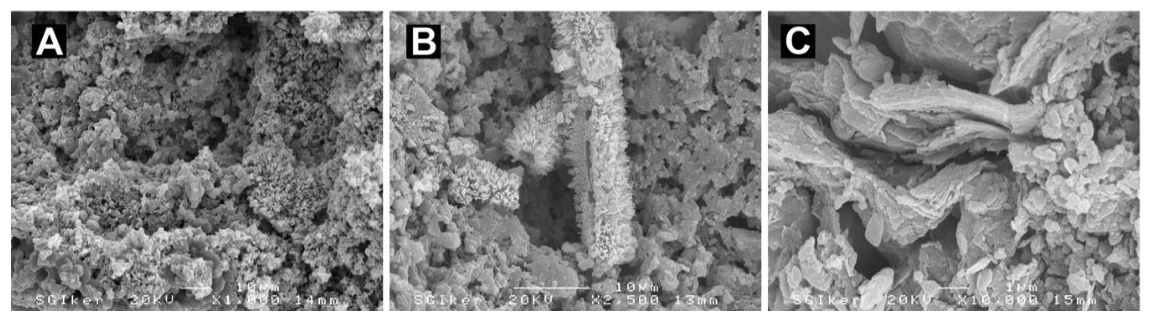 Minerals 10 00393 g004
