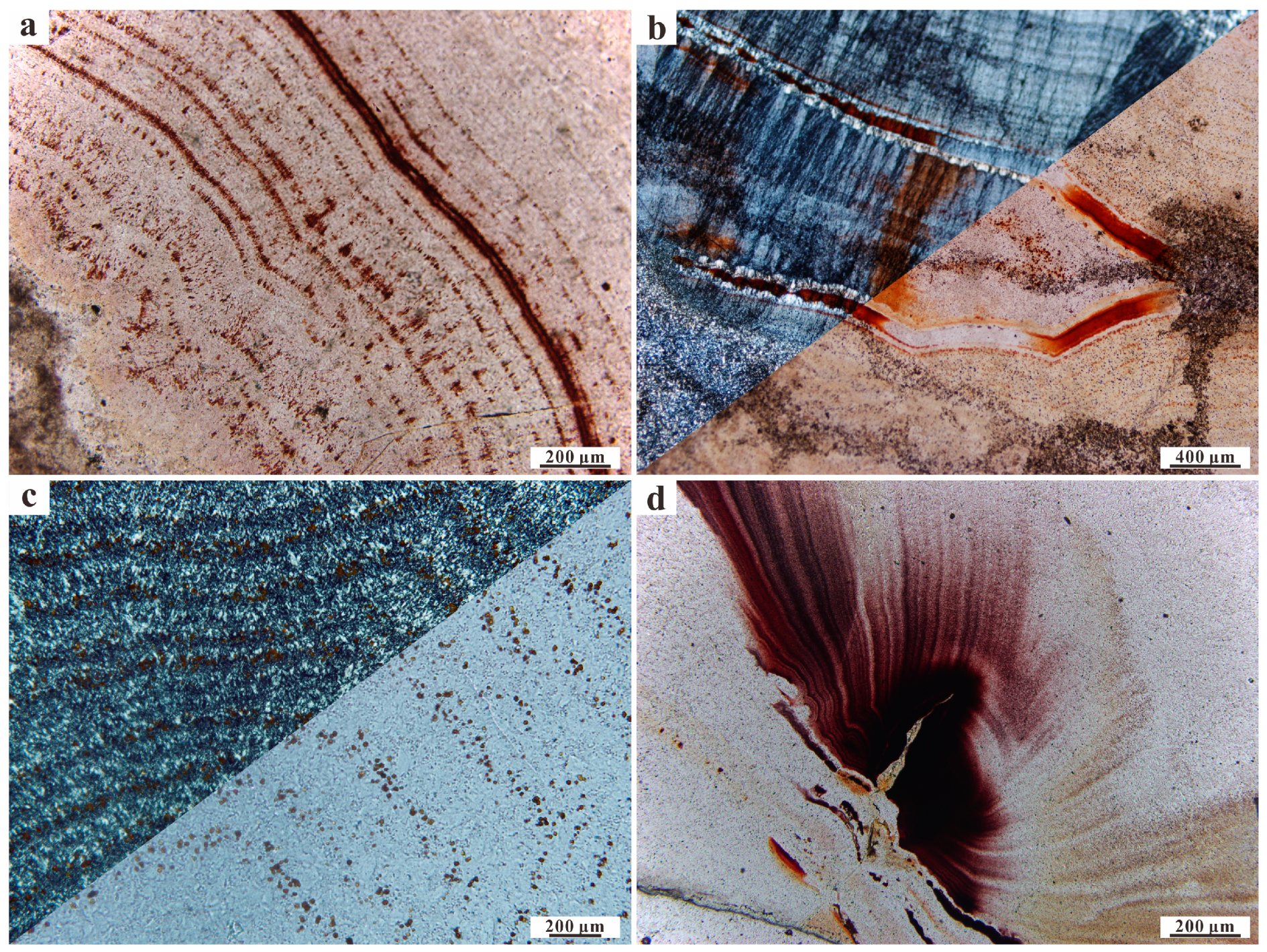 Minerals 10 00401 g005