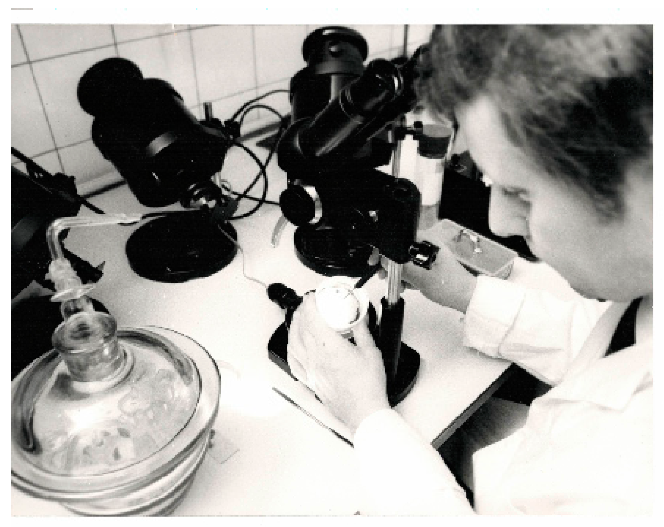 Minerals 10 00412 g020