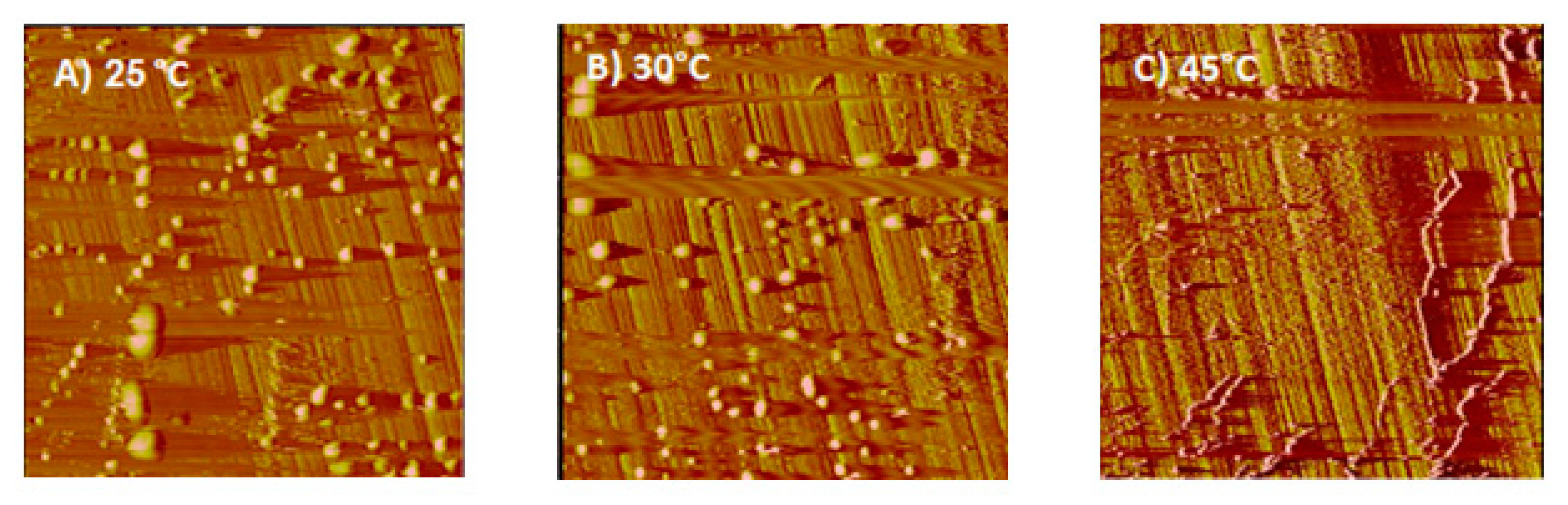 Minerals 10 00426 g005 550