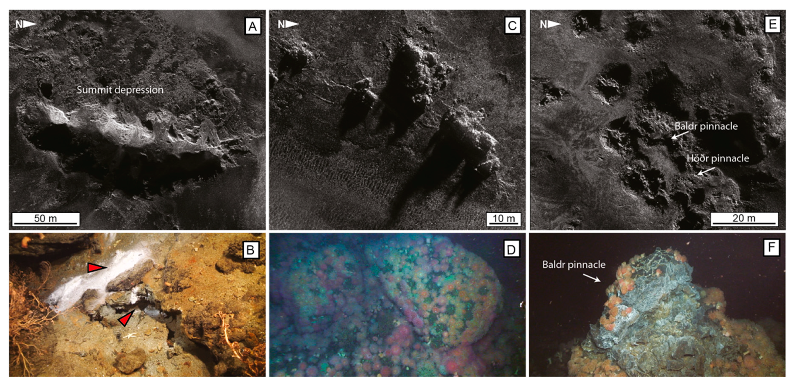 Minerals 10 00439 g002