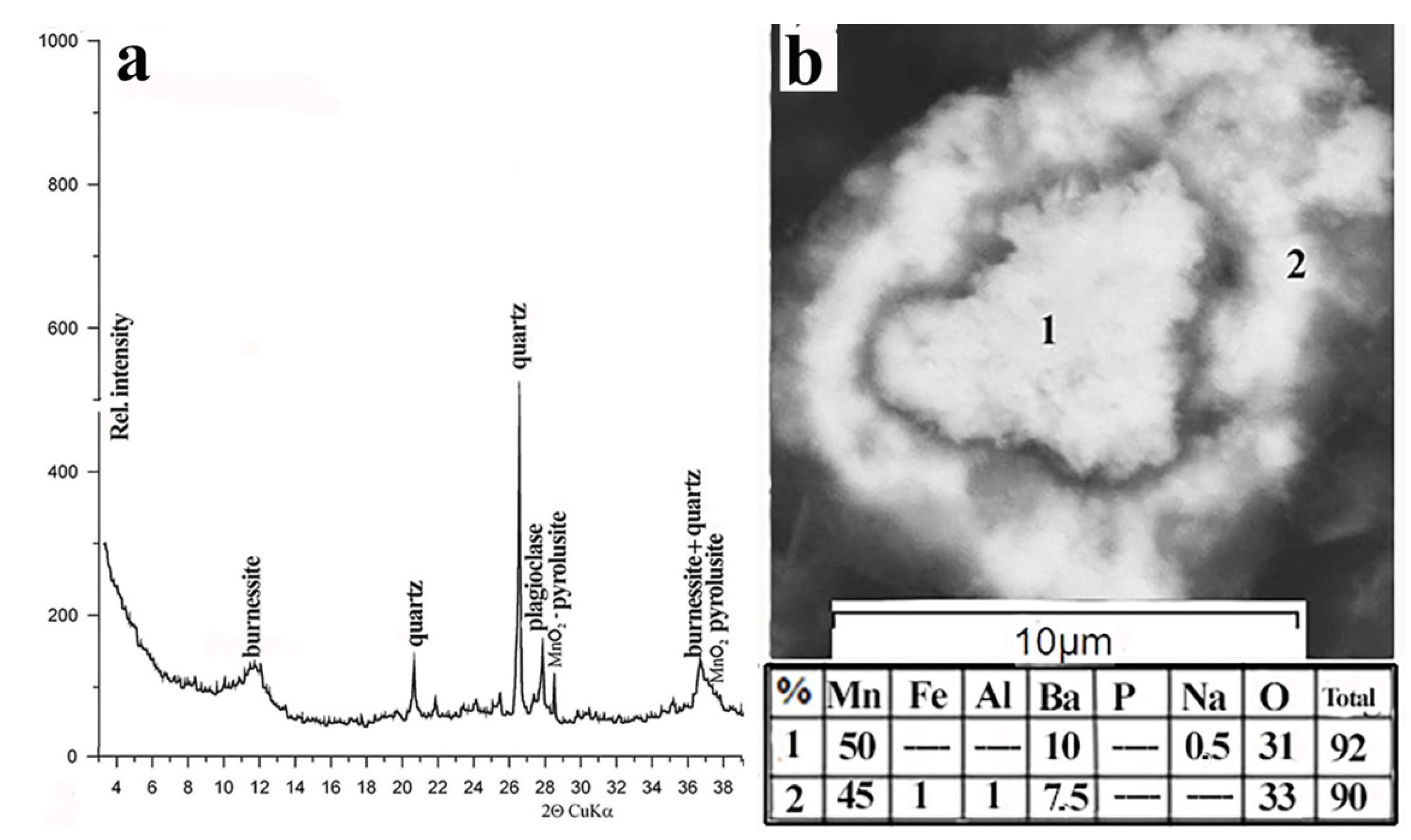 Minerals 10 00440 g005 550
