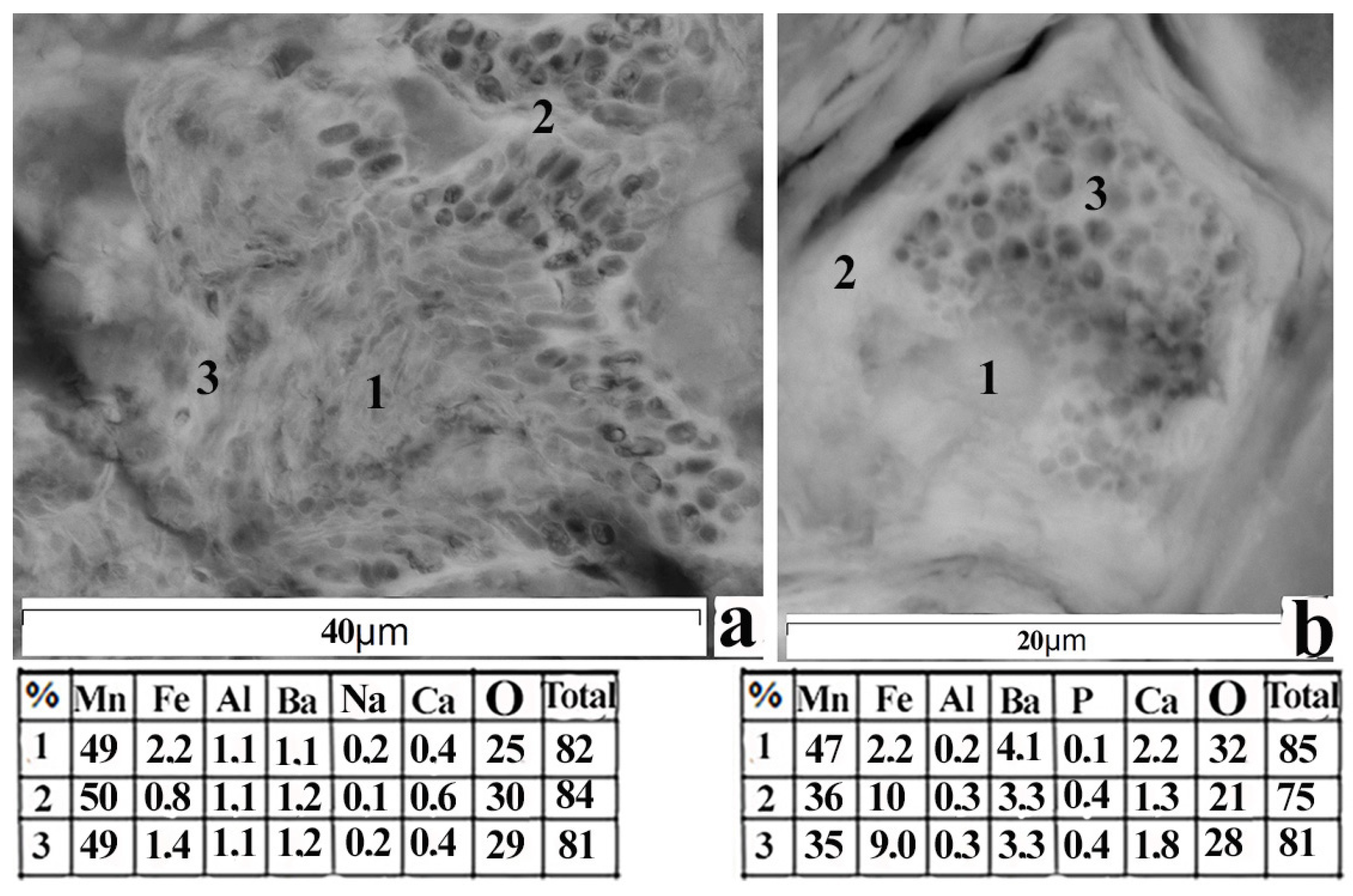 Minerals 10 00440 g009 550