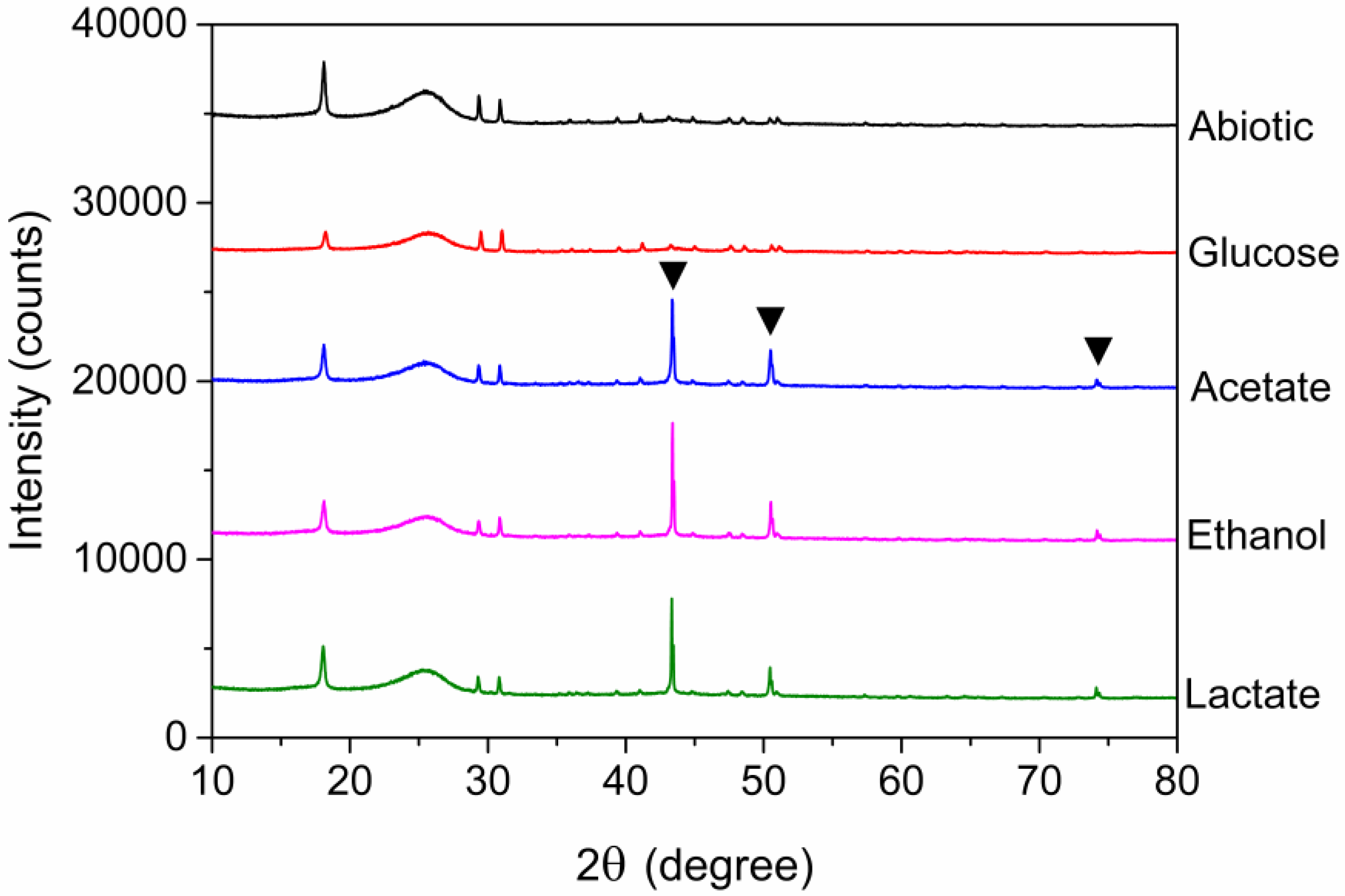 Minerals 10 00443 g010 Minerals 10 00443 g010