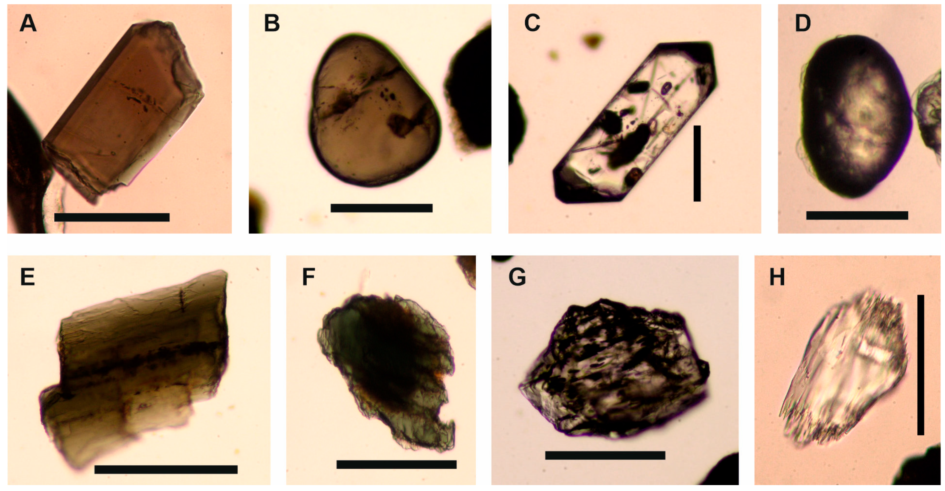 Minerals 10 00445 g006