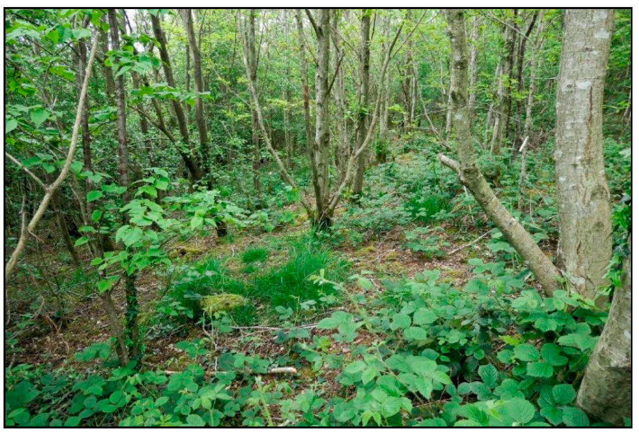 Minerals 10 00461 g004 Minerals 10 00461 g004