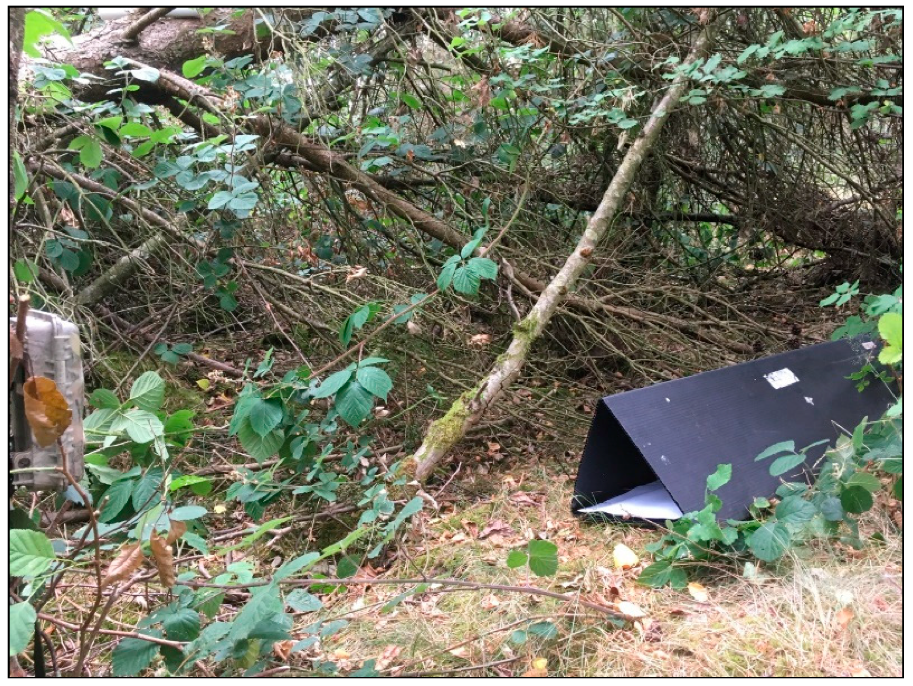 Minerals 10 00461 g009 Minerals 10 00461 g009