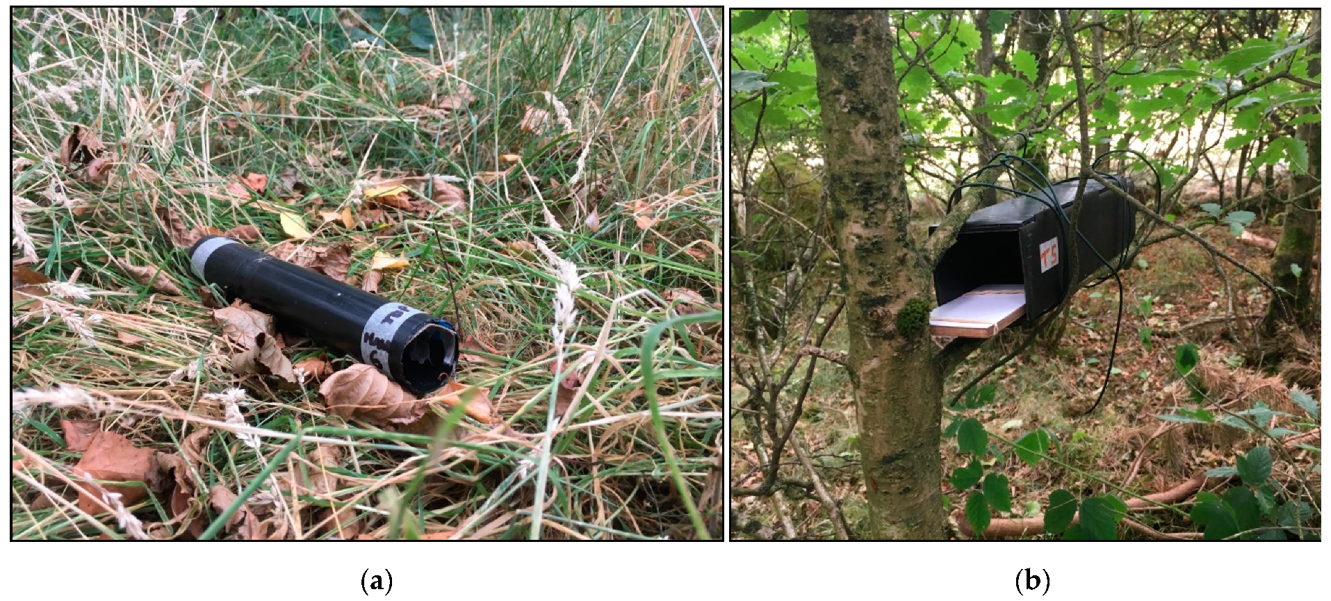 Minerals 10 00461 g010 Minerals 10 00461 g010