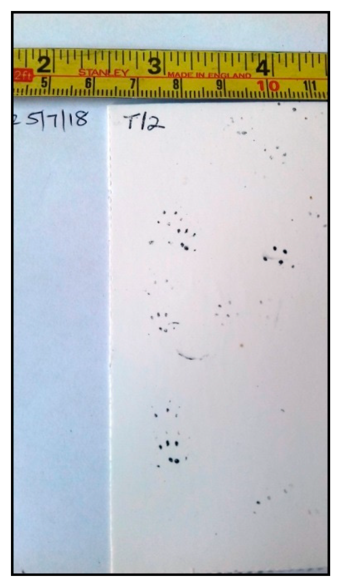 Minerals 10 00461 g011