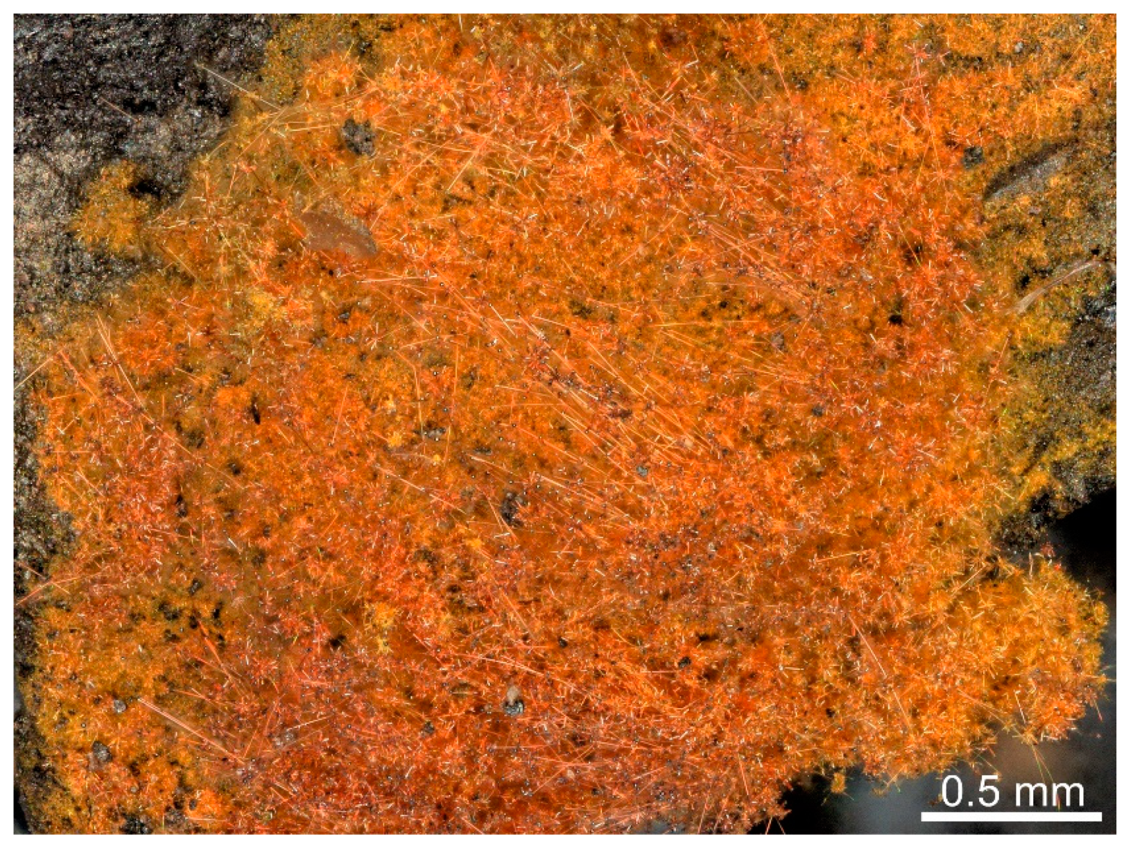 Minerals 10 00470 g001