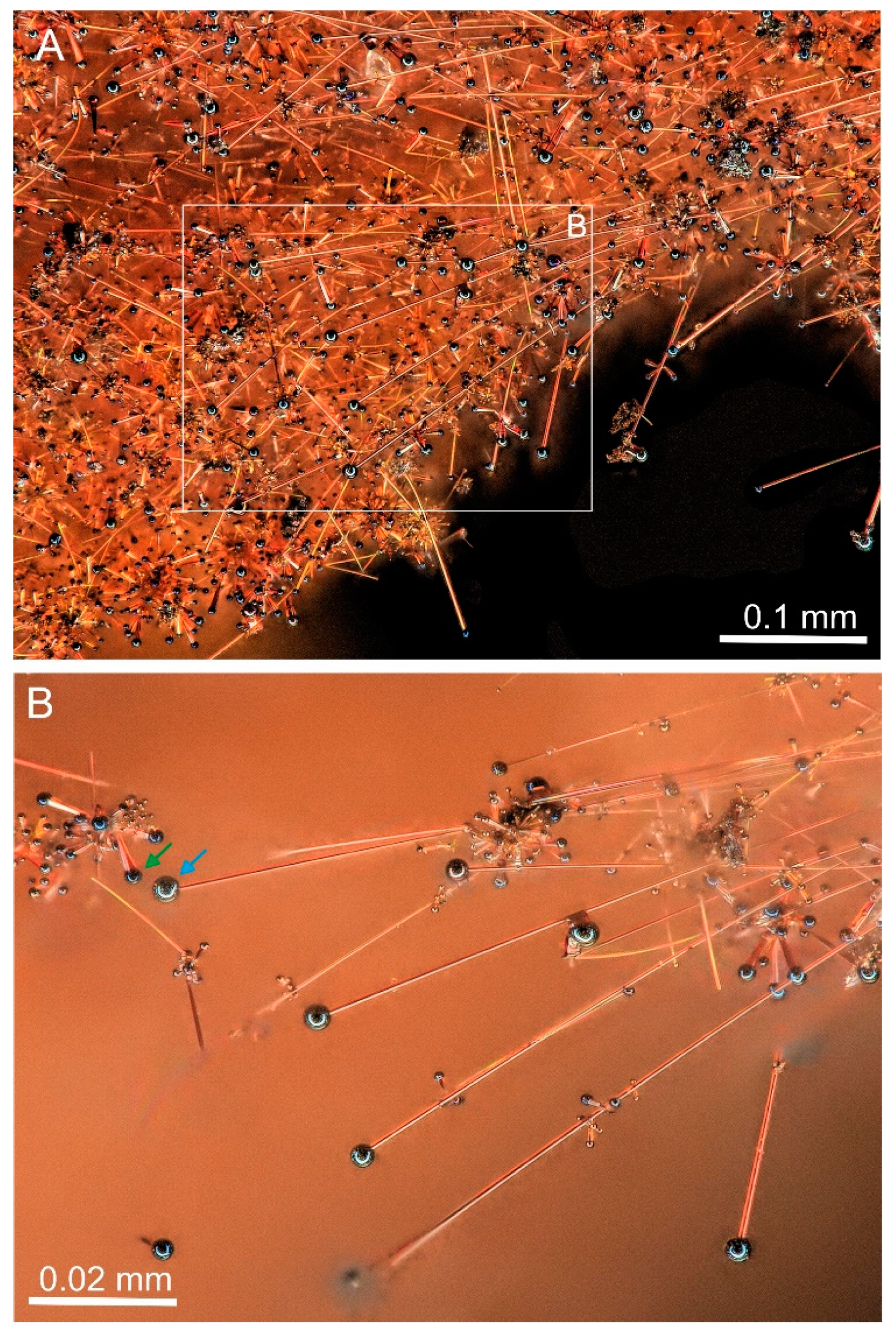 Minerals 10 00470 g002