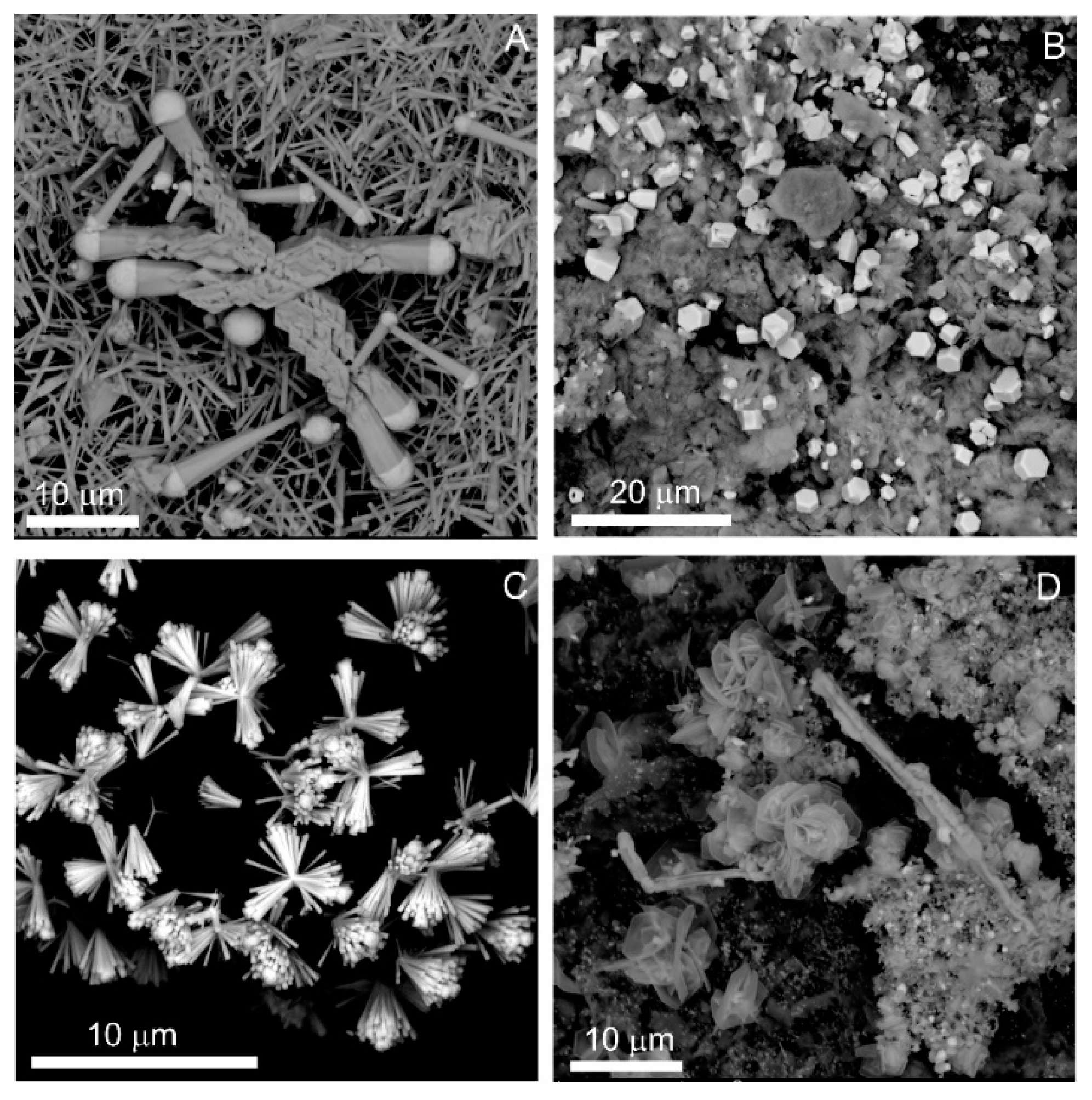 Minerals 10 00470 g007