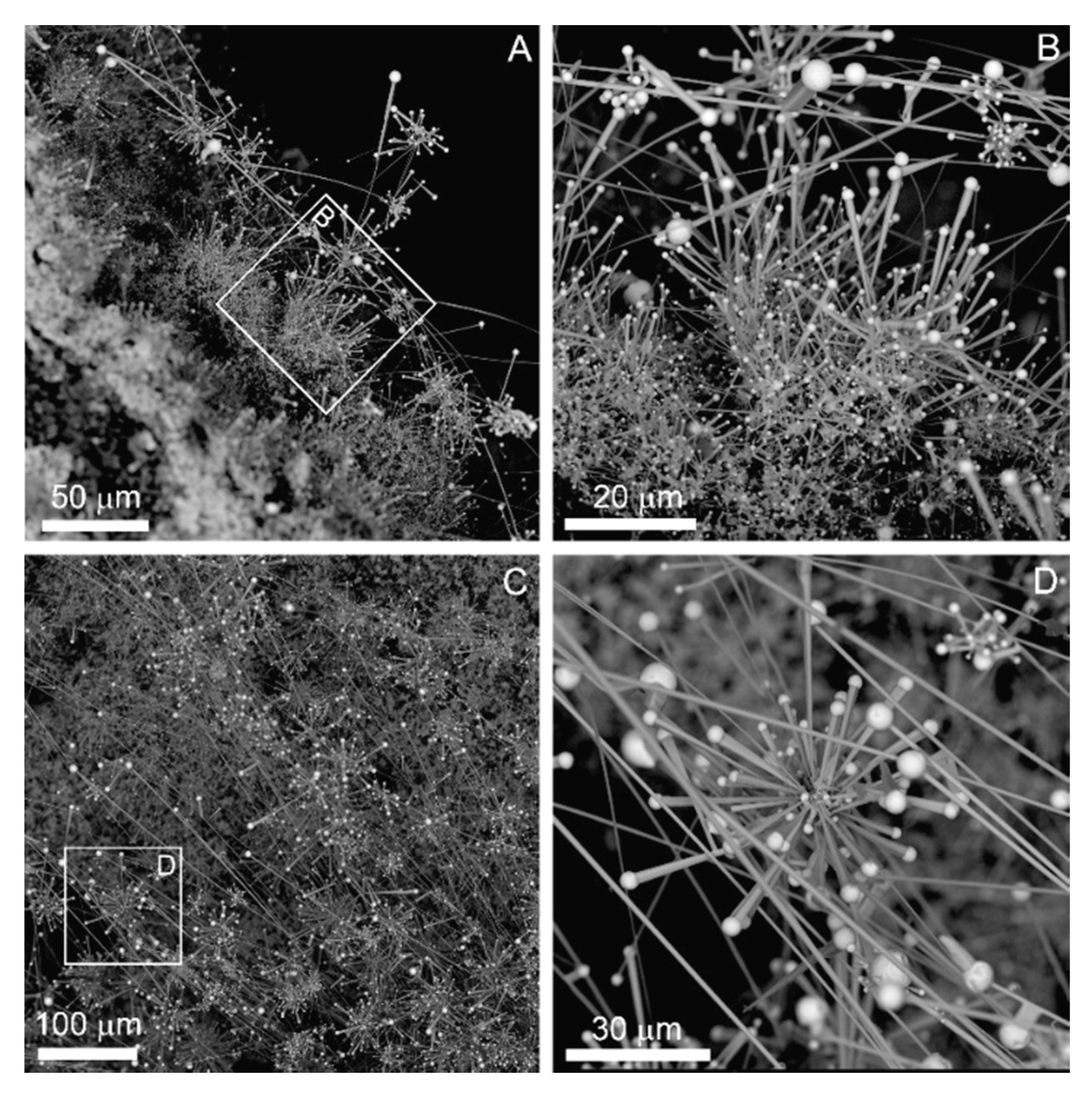 Minerals 10 00470 g008