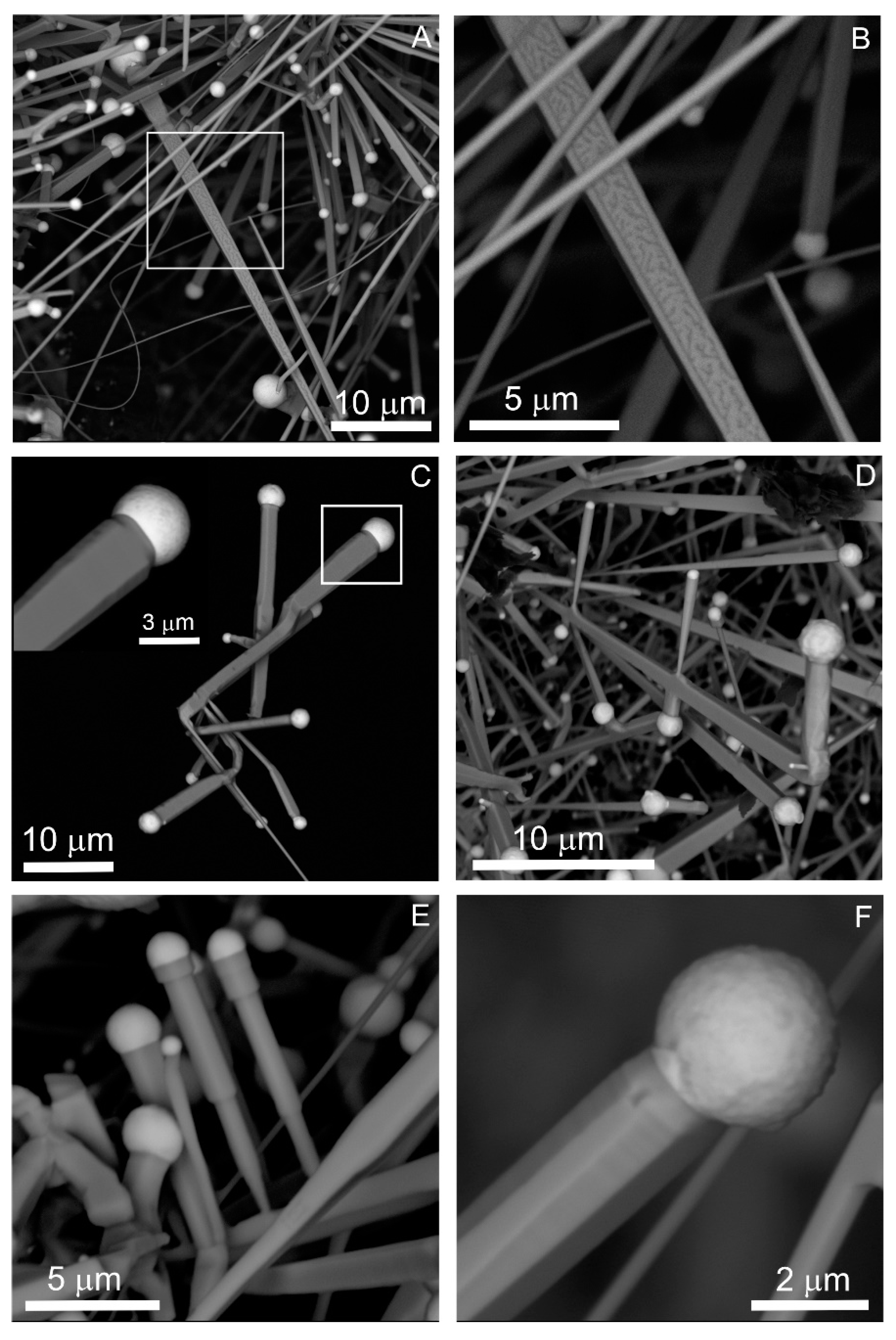 Minerals 10 00470 g010