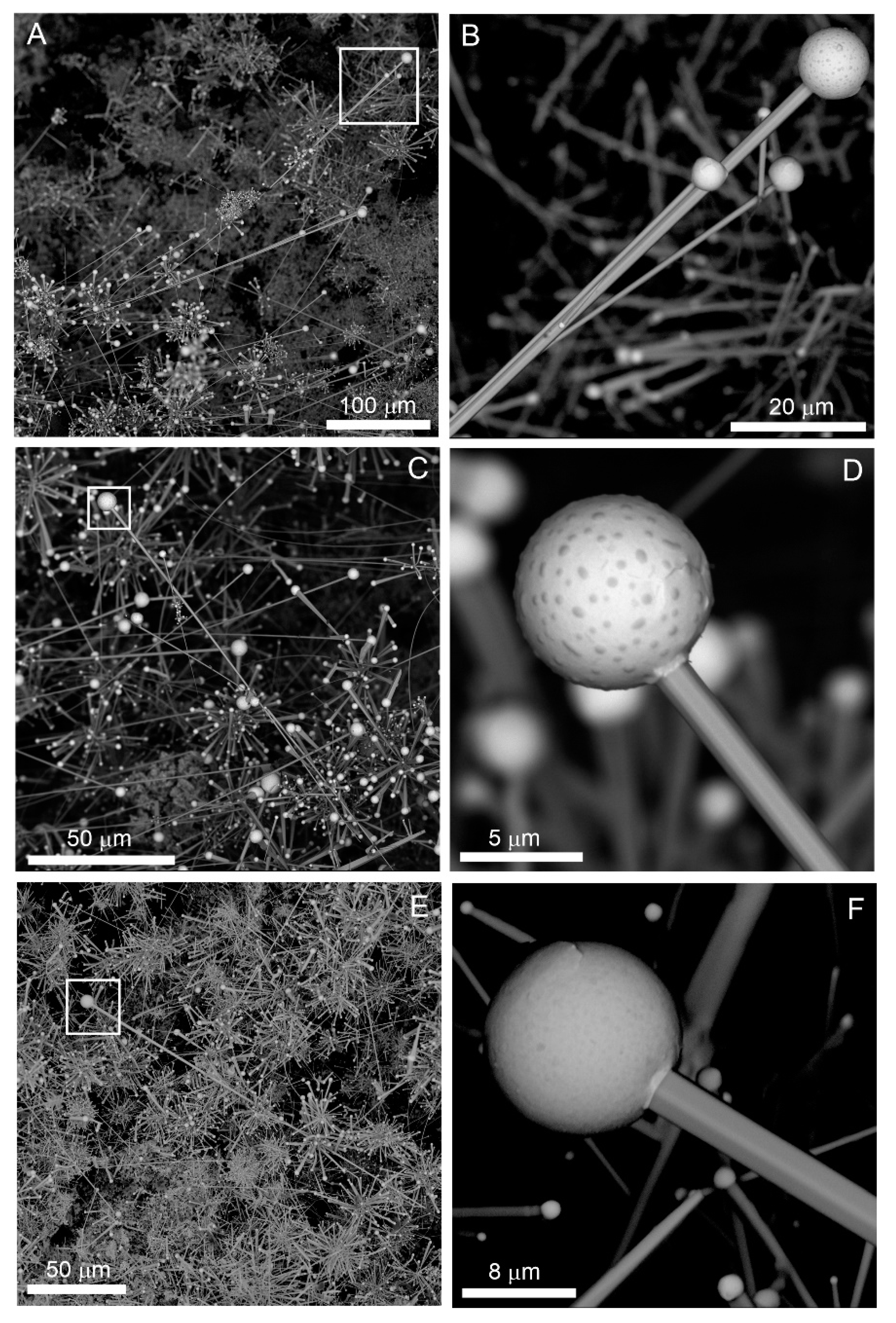 Minerals 10 00470 g011
