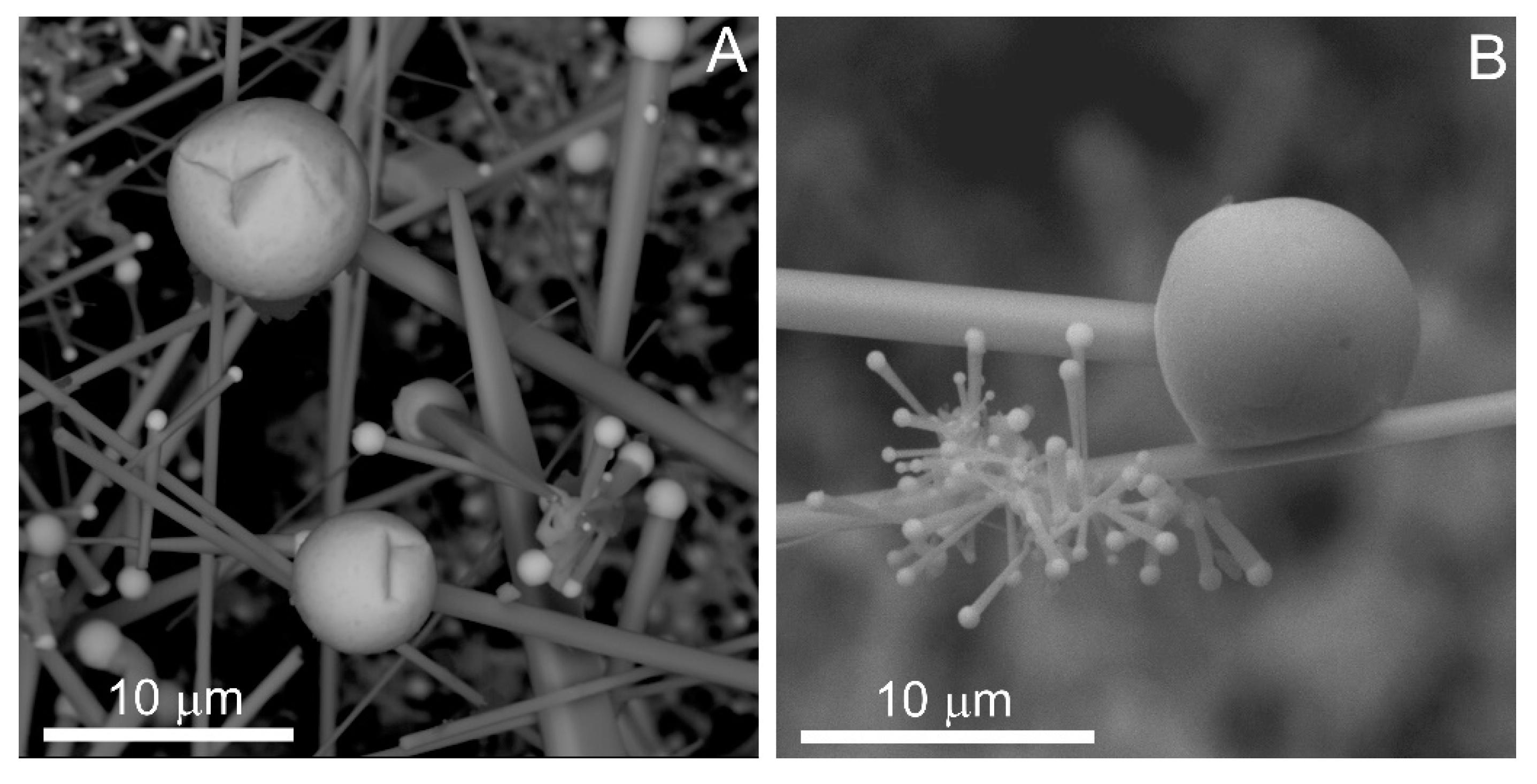 Minerals 10 00470 g012