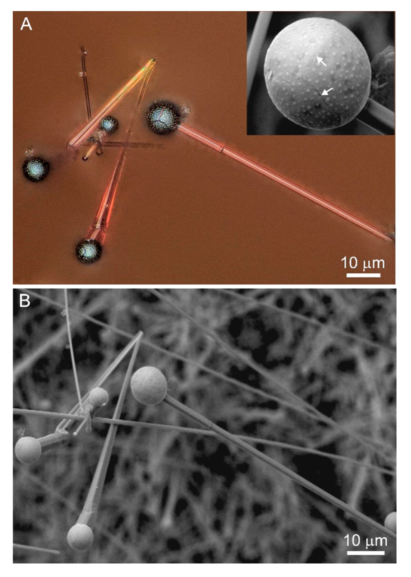 Minerals 10 00470 g013