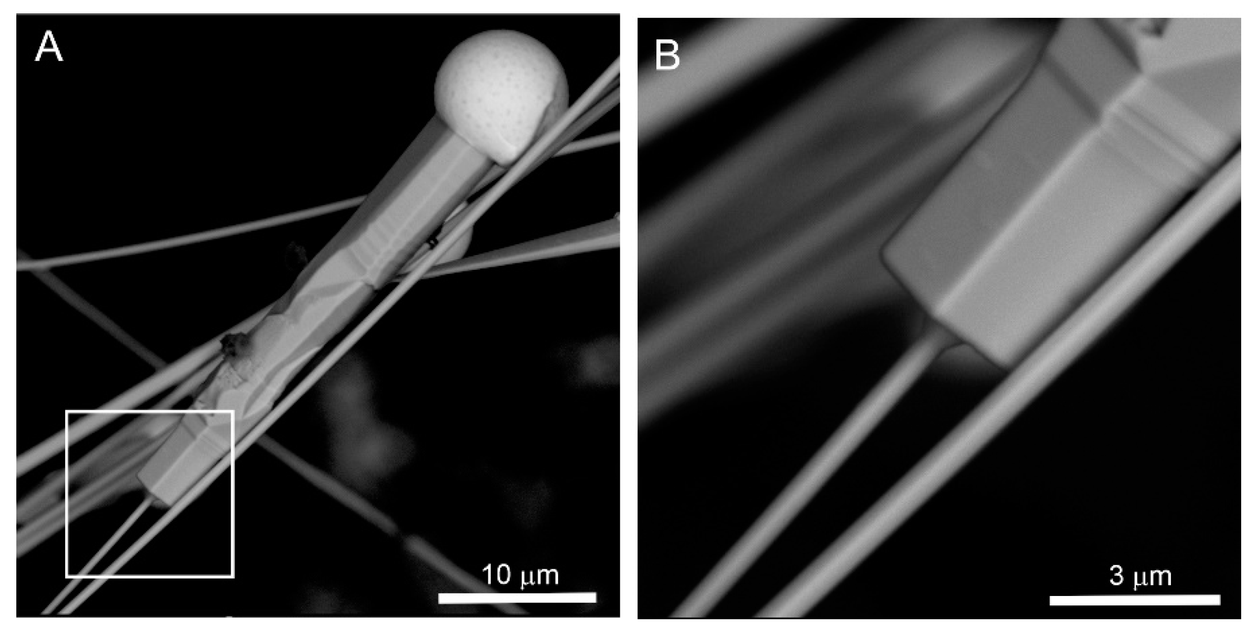 Minerals 10 00470 g015