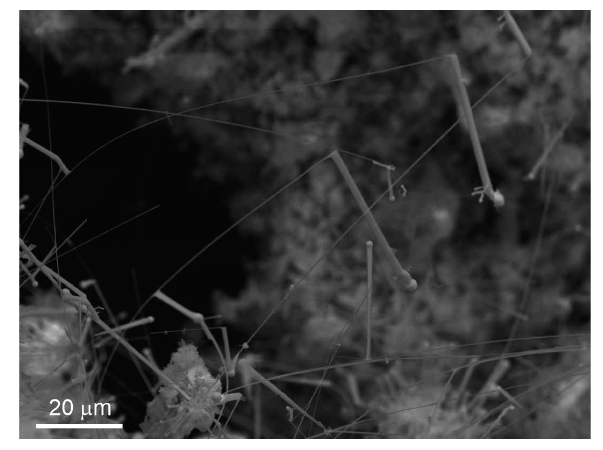 Minerals 10 00470 g016