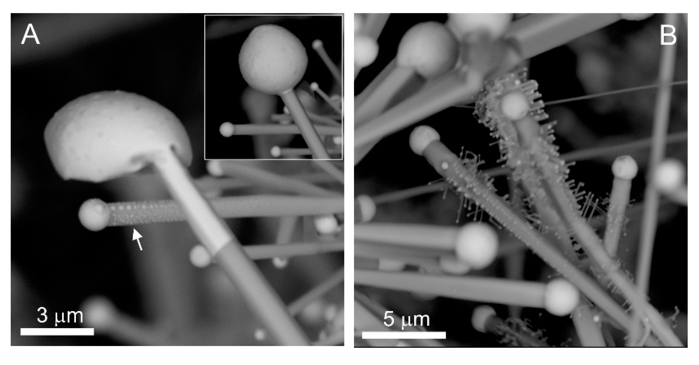 Minerals 10 00470 g021