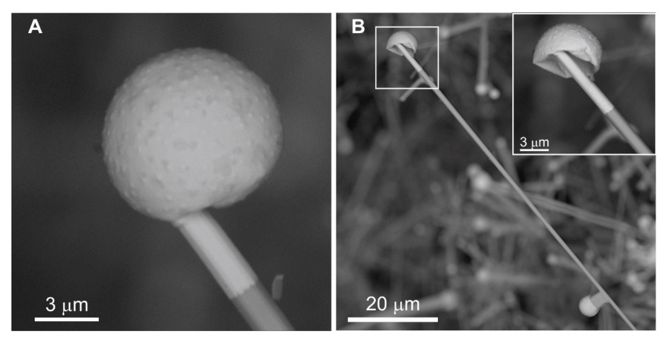 Minerals 10 00470 g022
