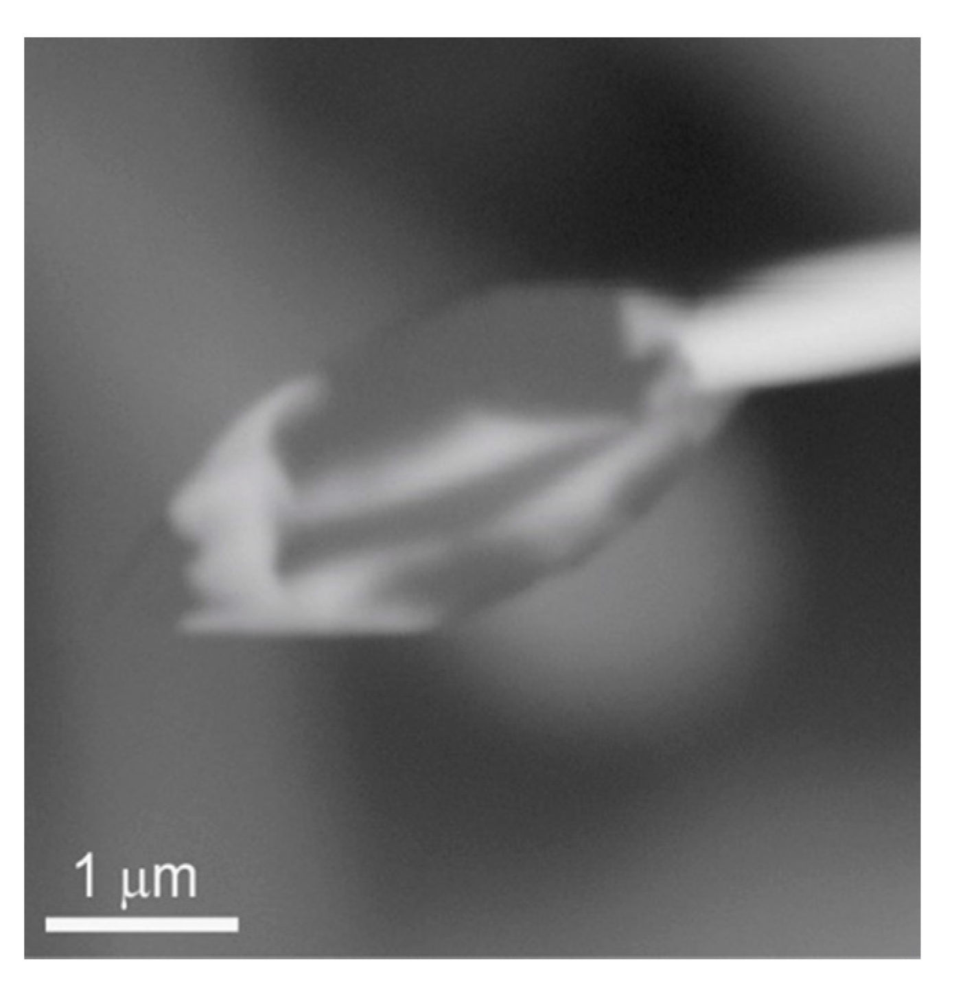 Minerals 10 00470 g023