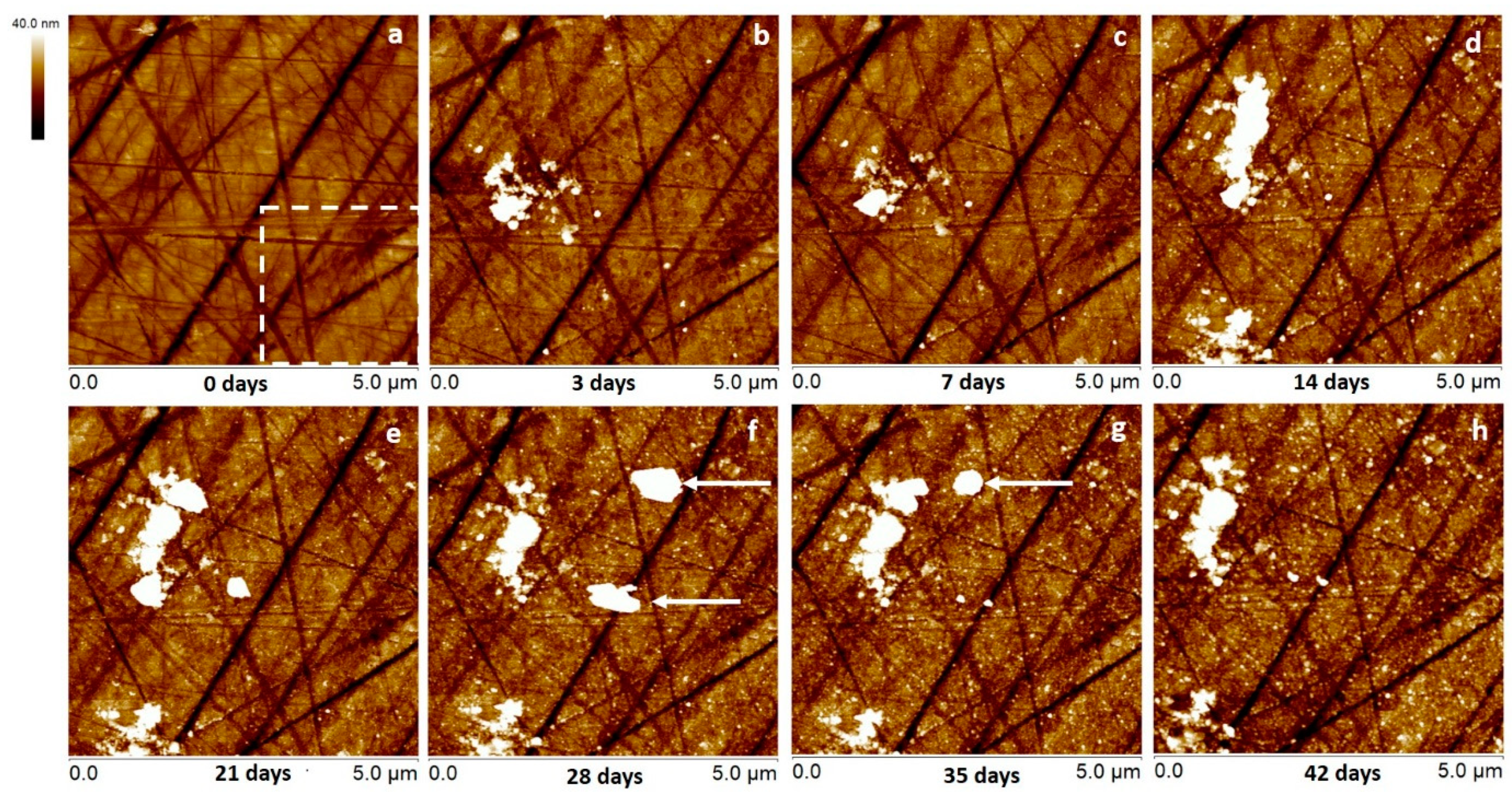 Minerals 10 00485 g005 Minerals 10 00485 g005