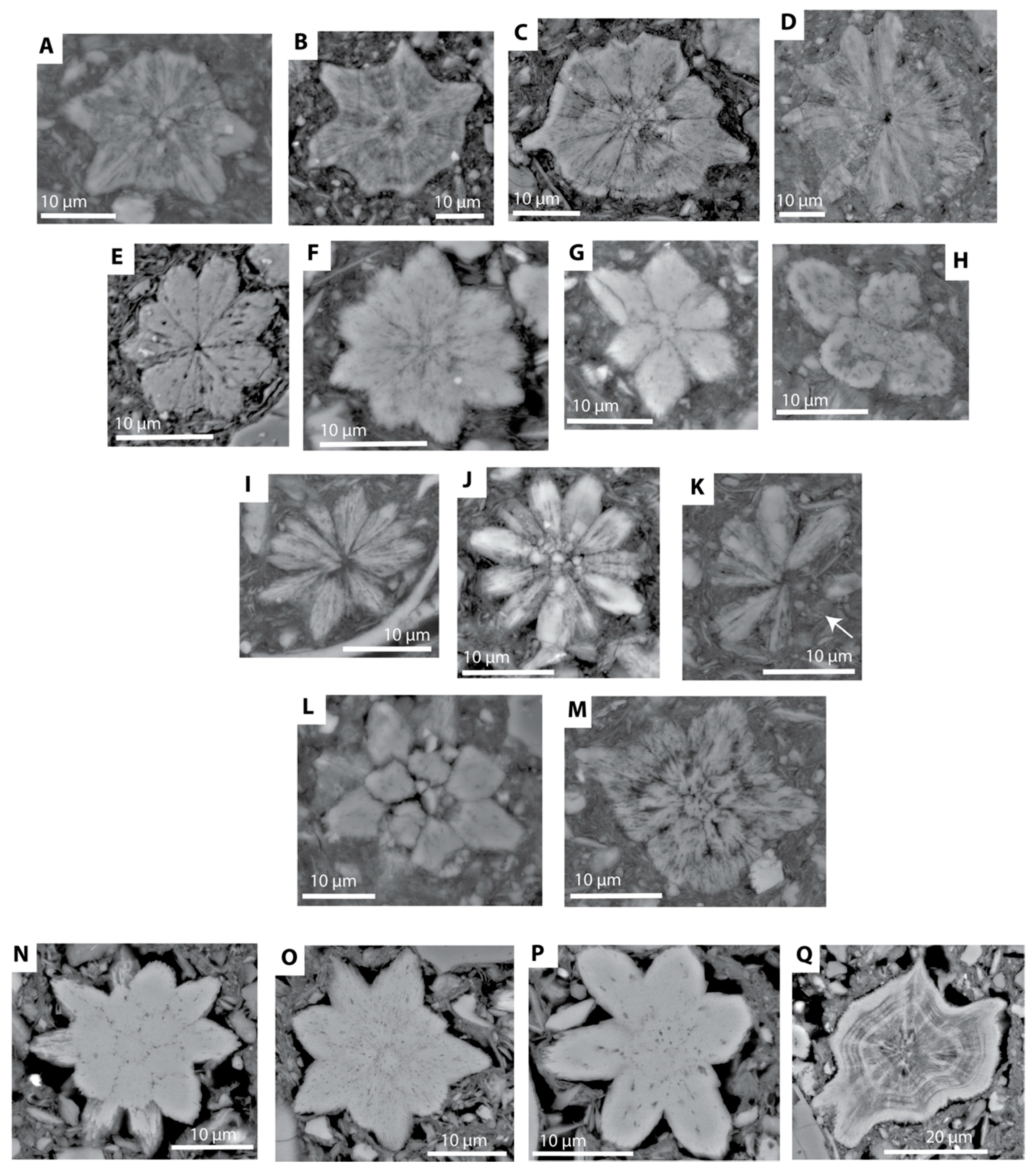Minerals 10 00488 g003