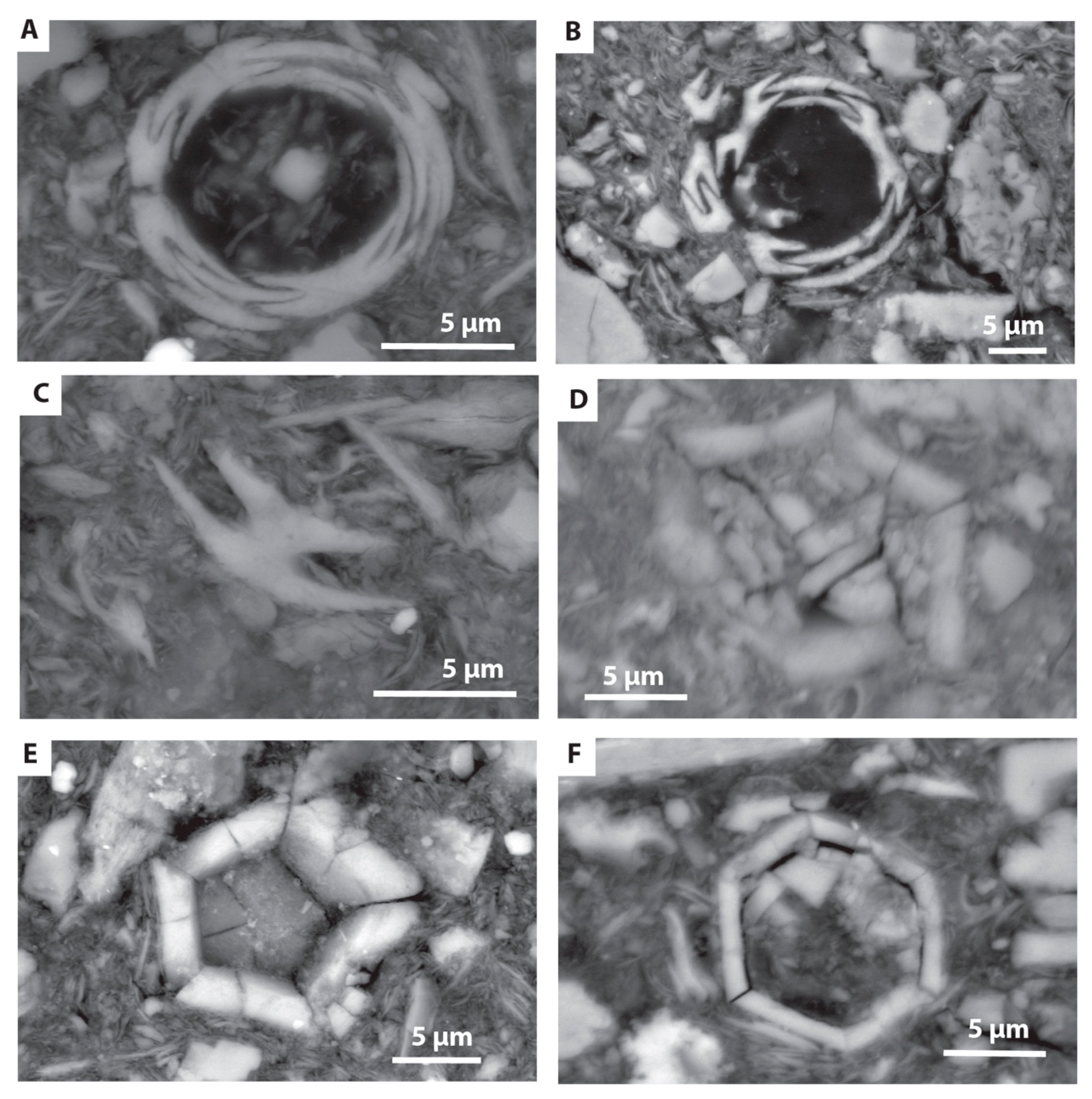 Minerals 10 00488 g005