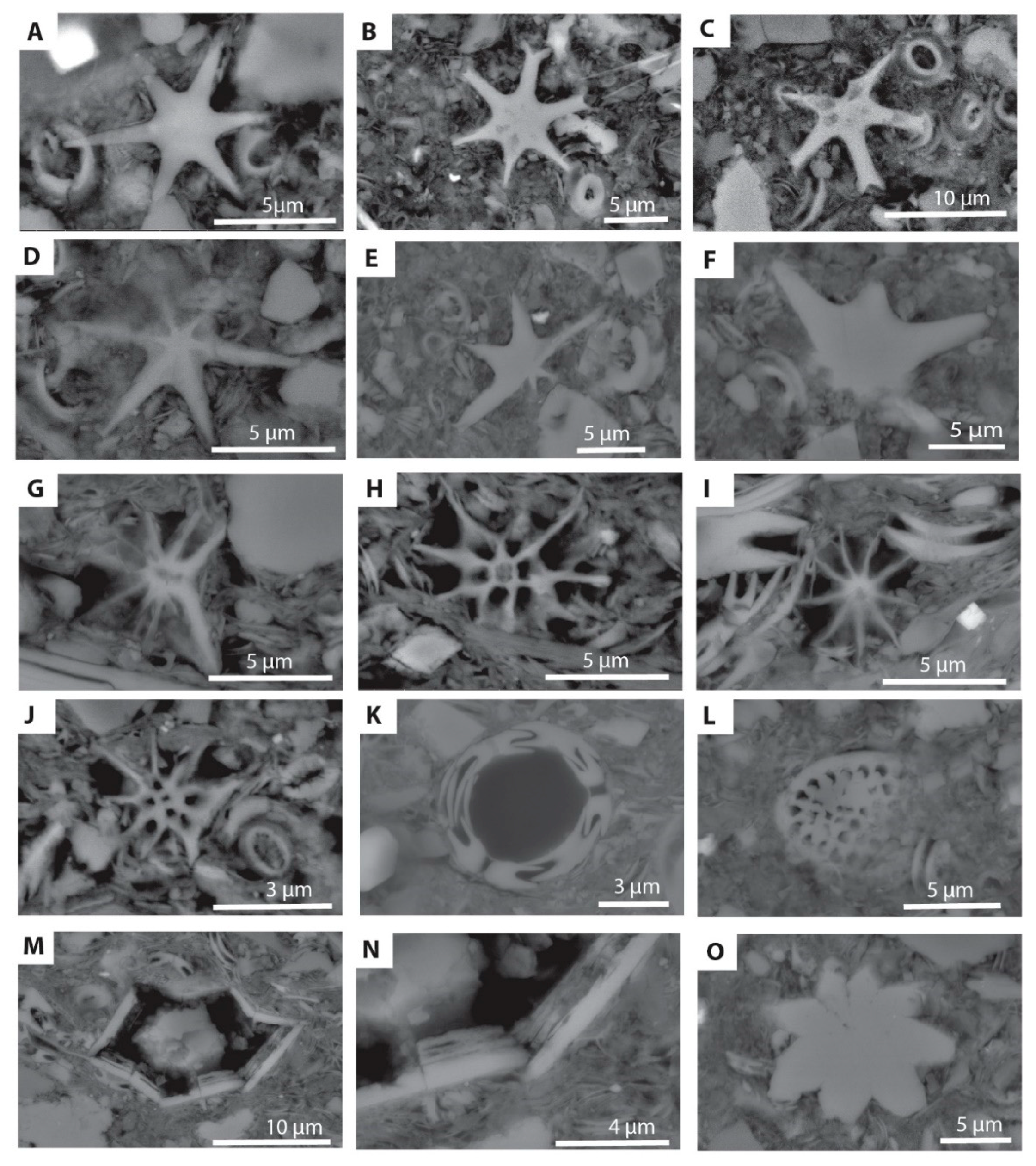 Minerals 10 00488 g008