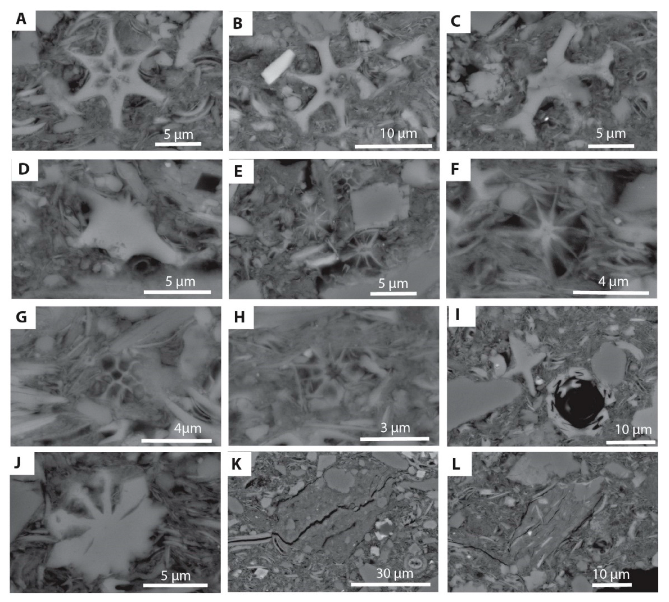 Minerals 10 00488 g009