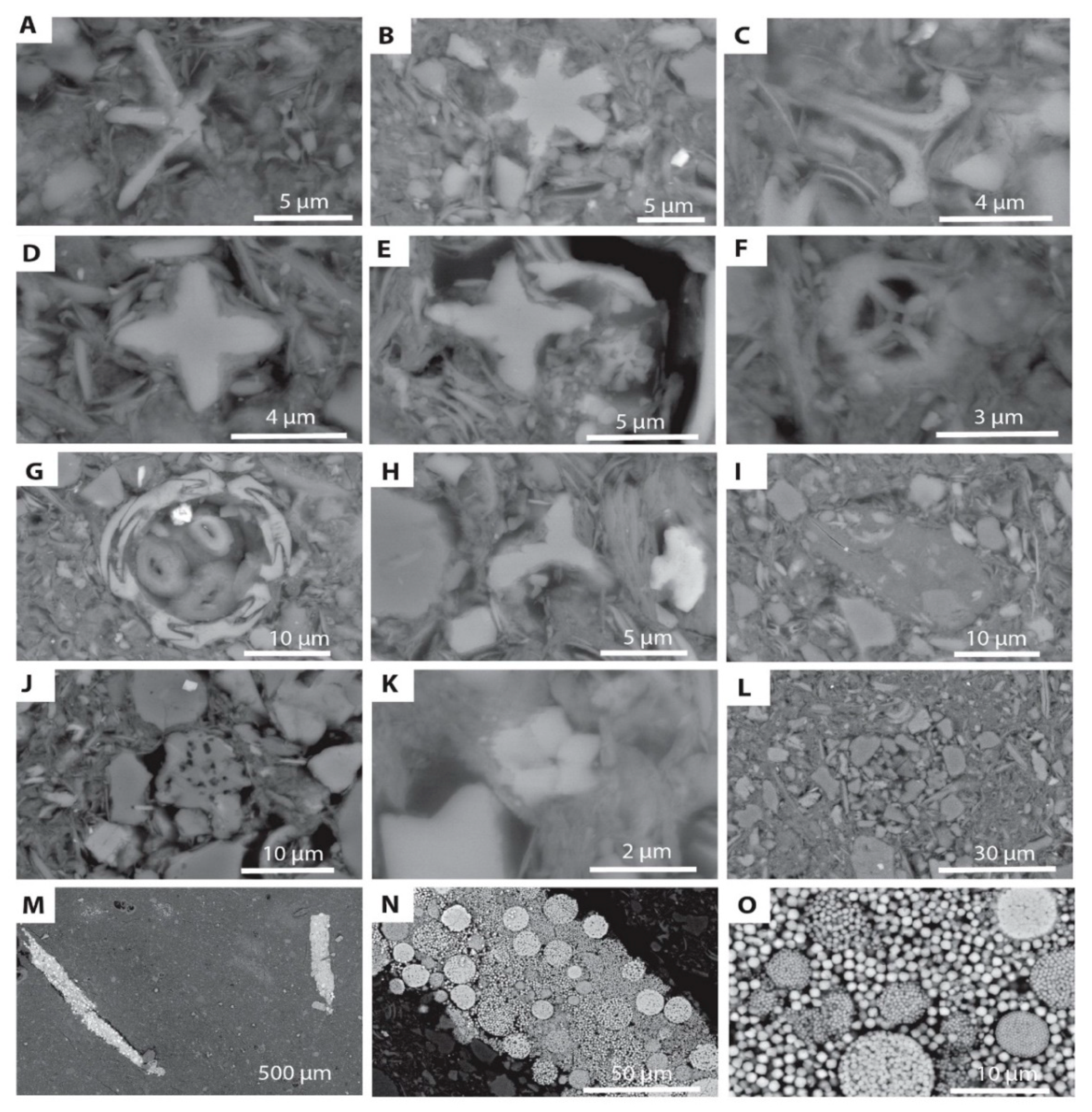 Minerals 10 00488 g010