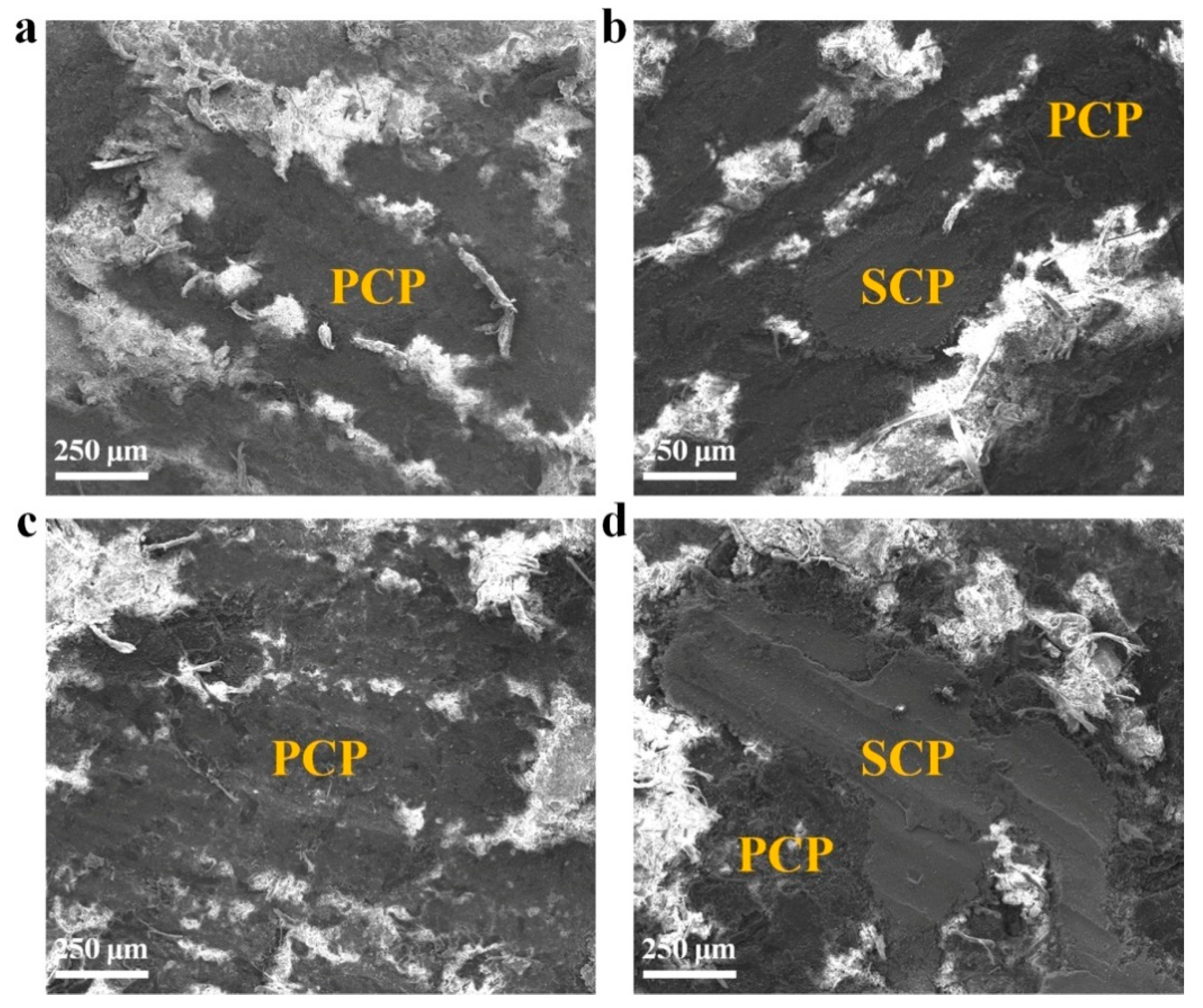 Minerals 10 00490 g007