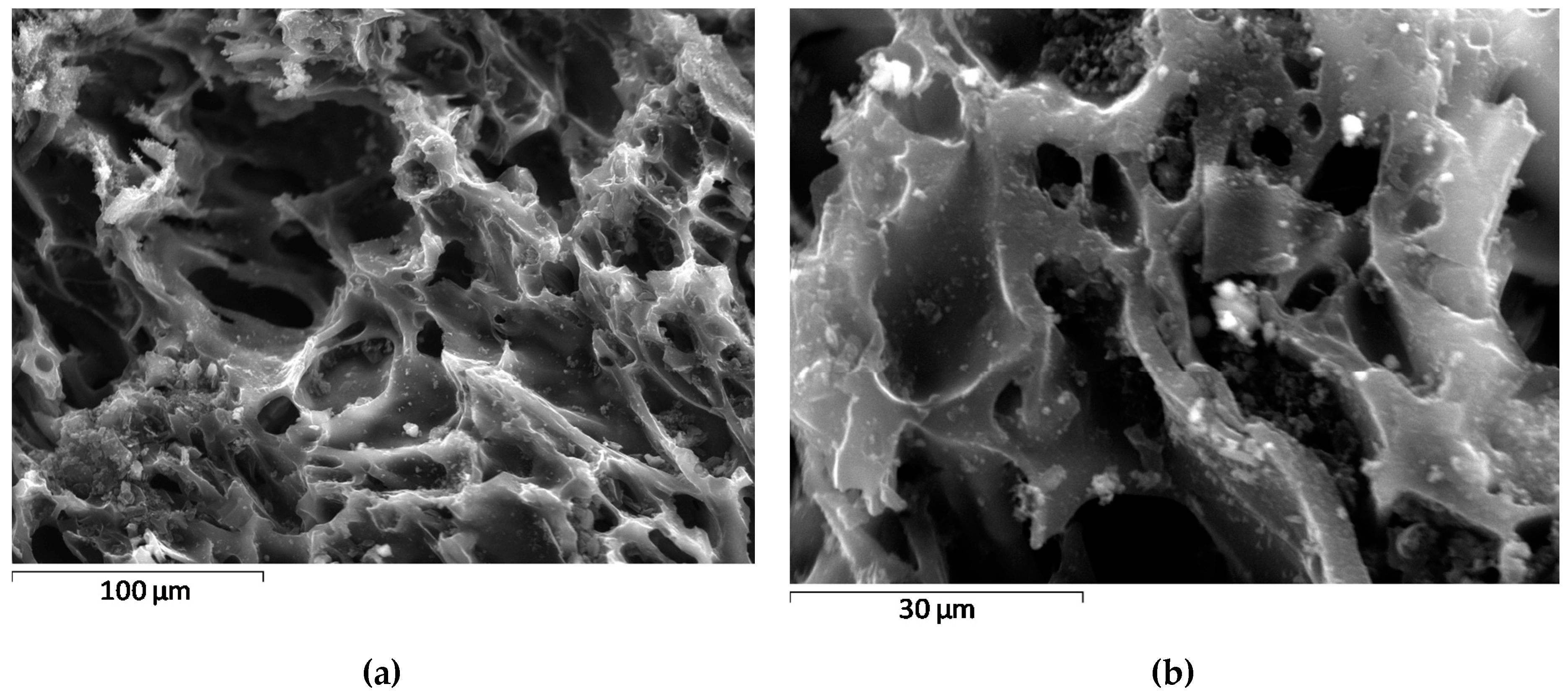 Minerals 10 00508 g005