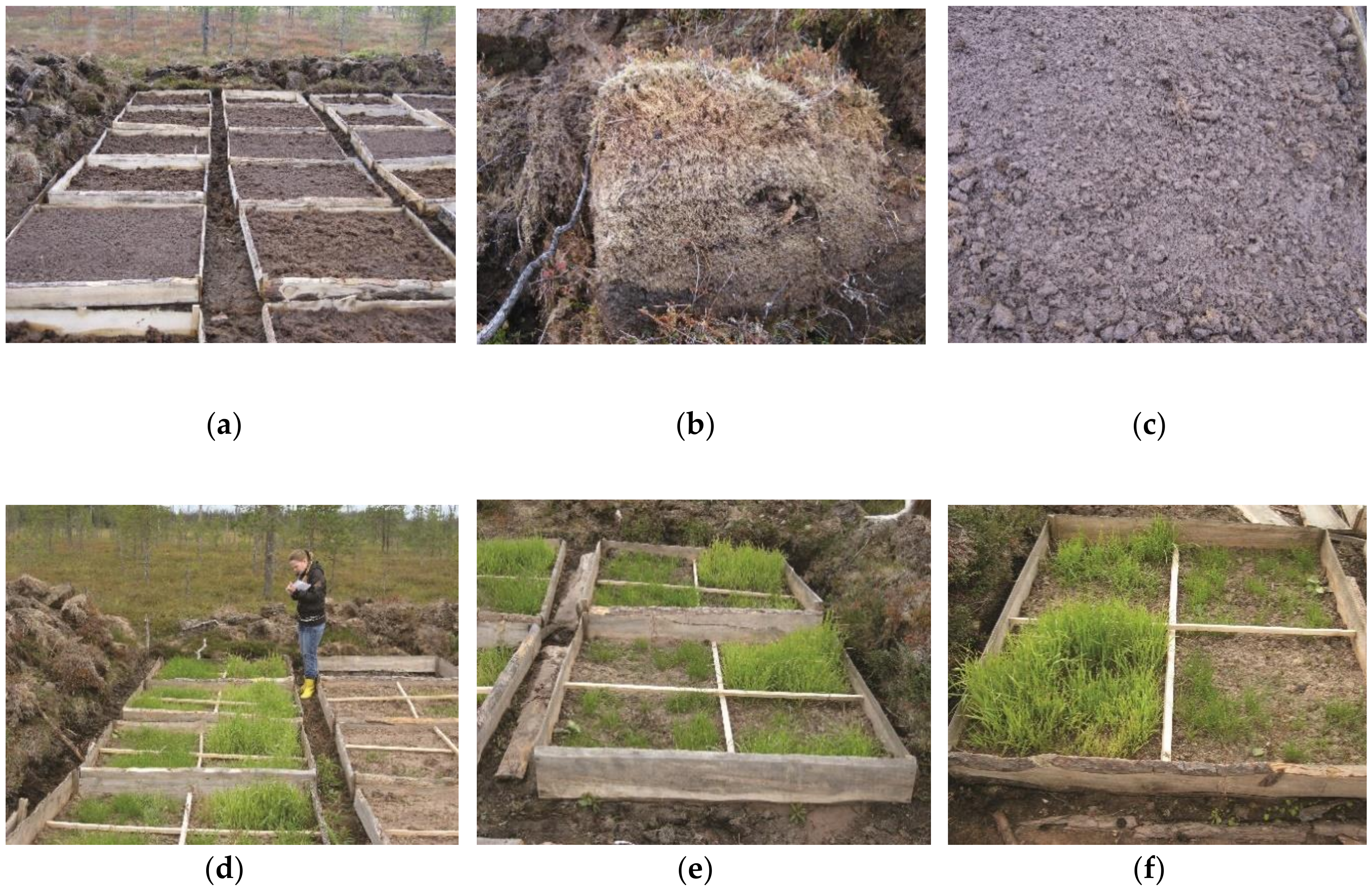 Minerals 10 00517 g005 Minerals 10 00517 g005