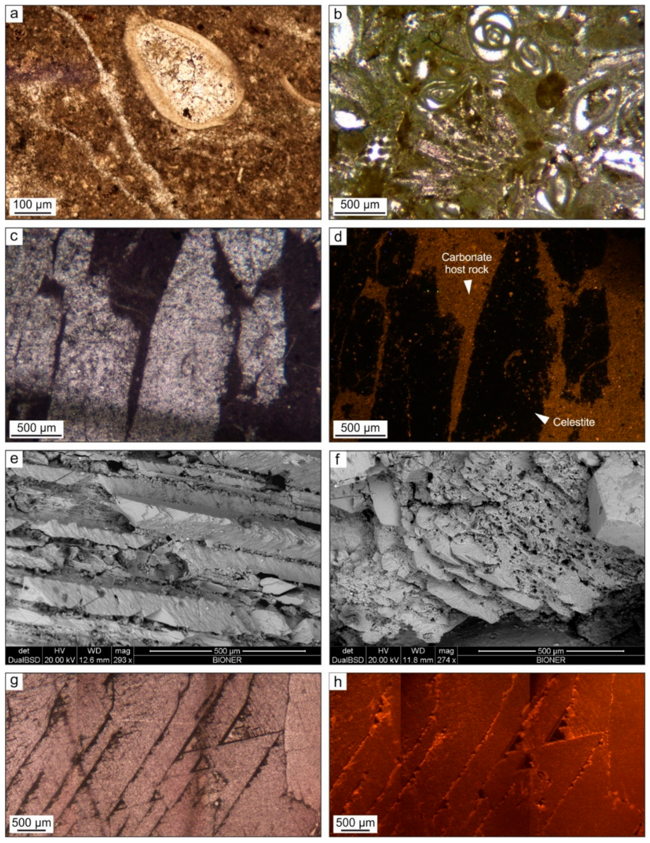 Minerals 10 00522 g004