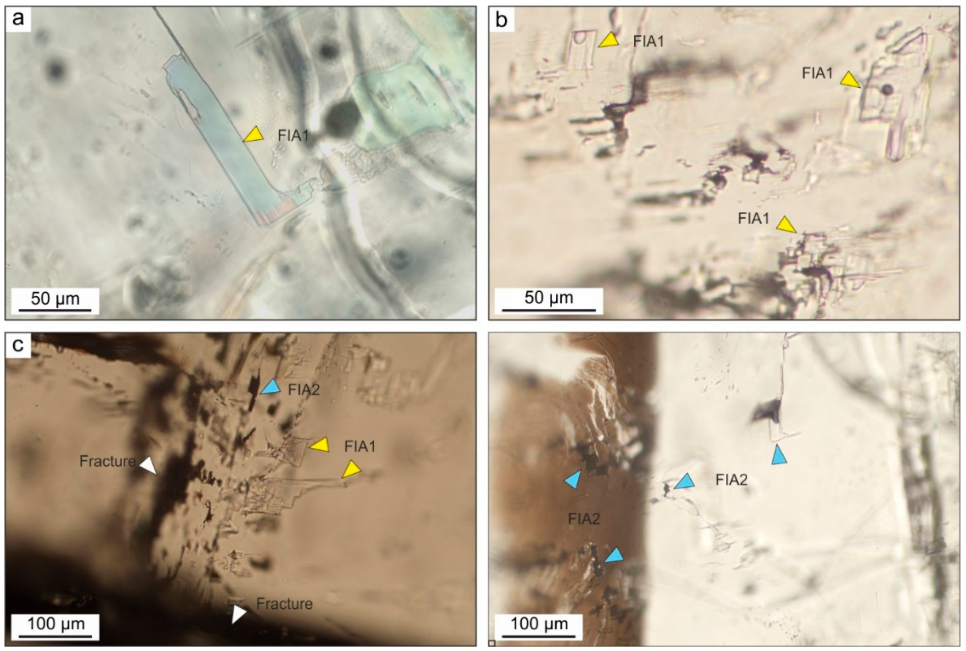 Minerals 10 00522 g006