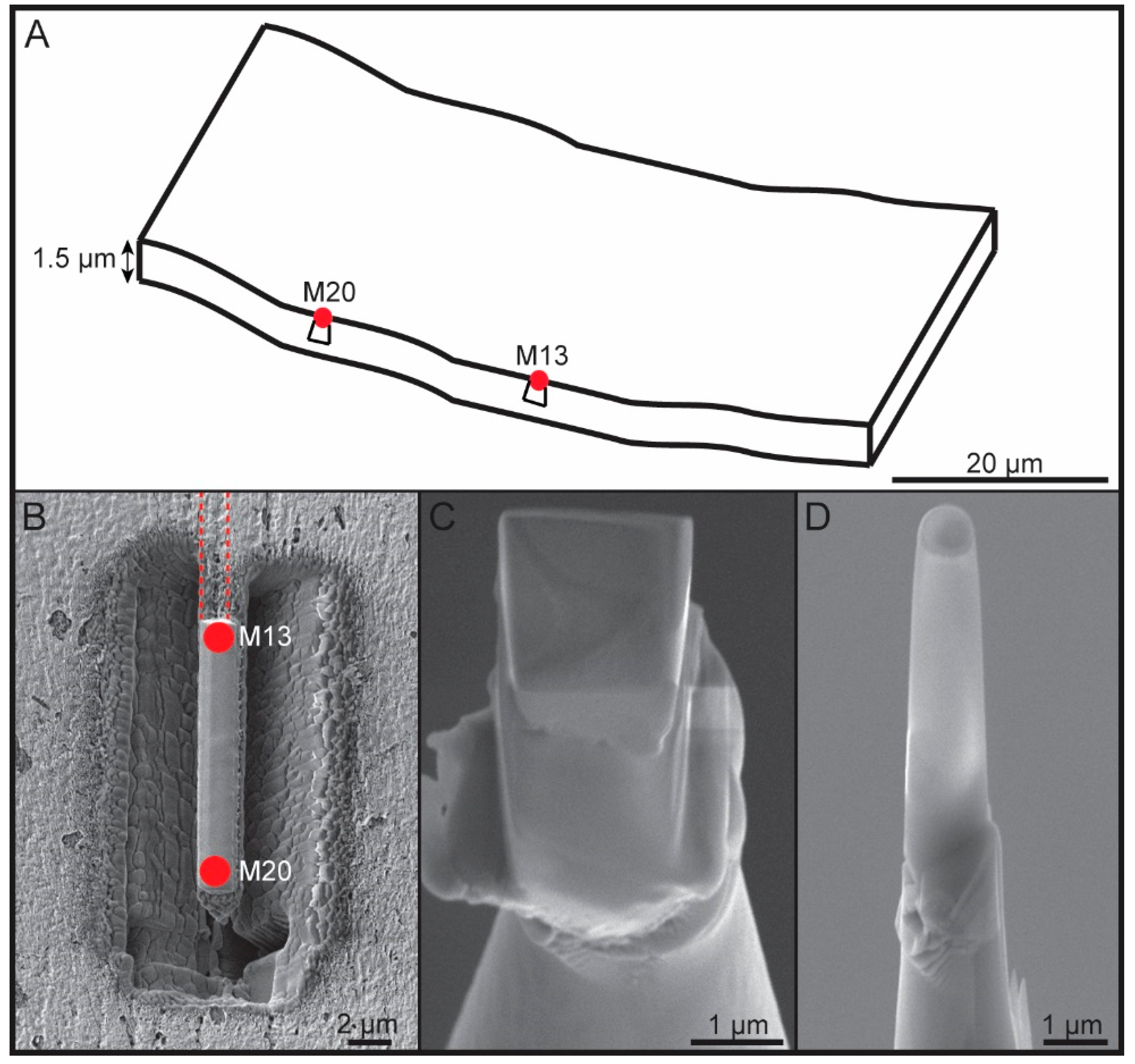 Minerals 10 00529 g003 Minerals 10 00529 g003