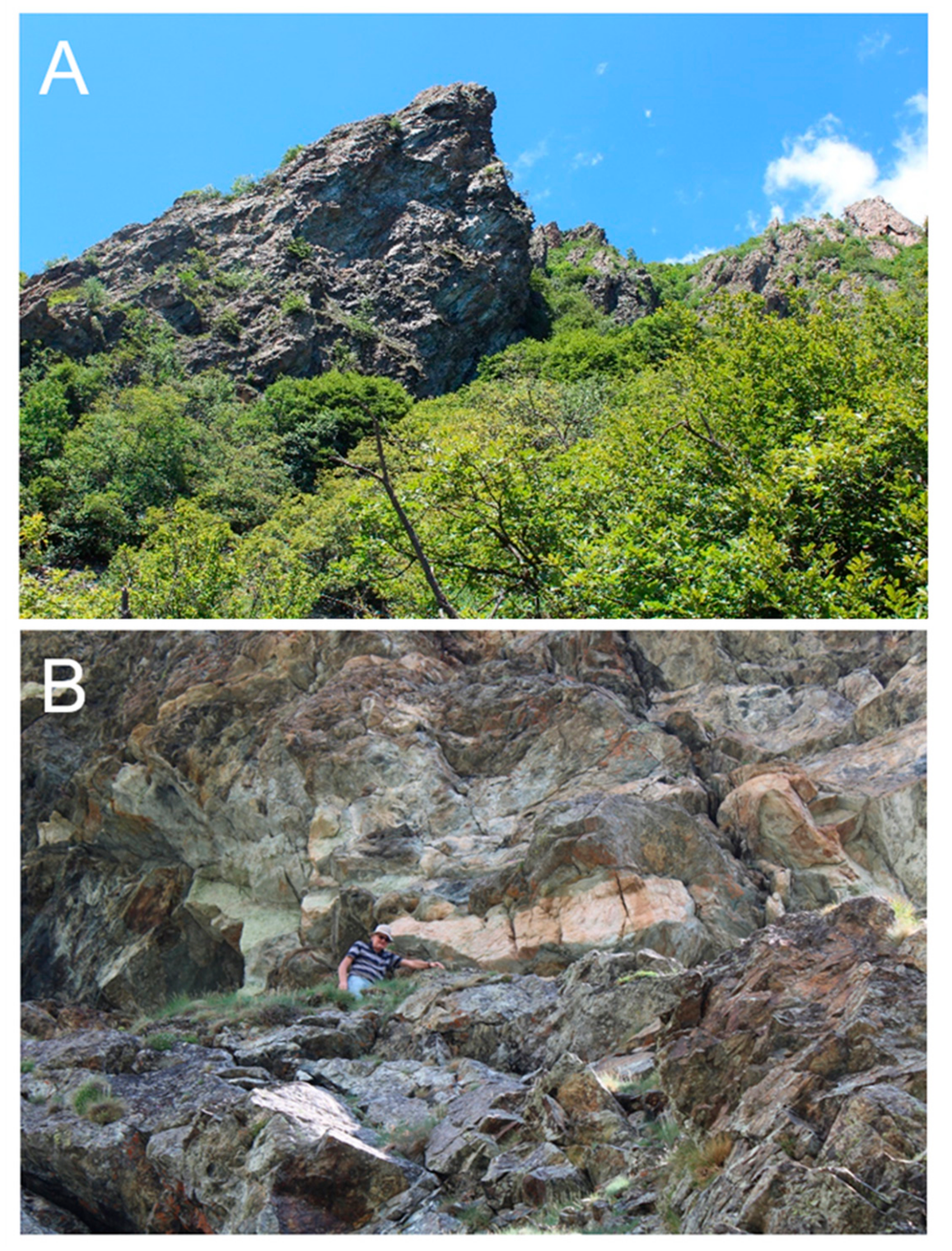 Minerals 10 00535 g002 Minerals 10 00535 g002