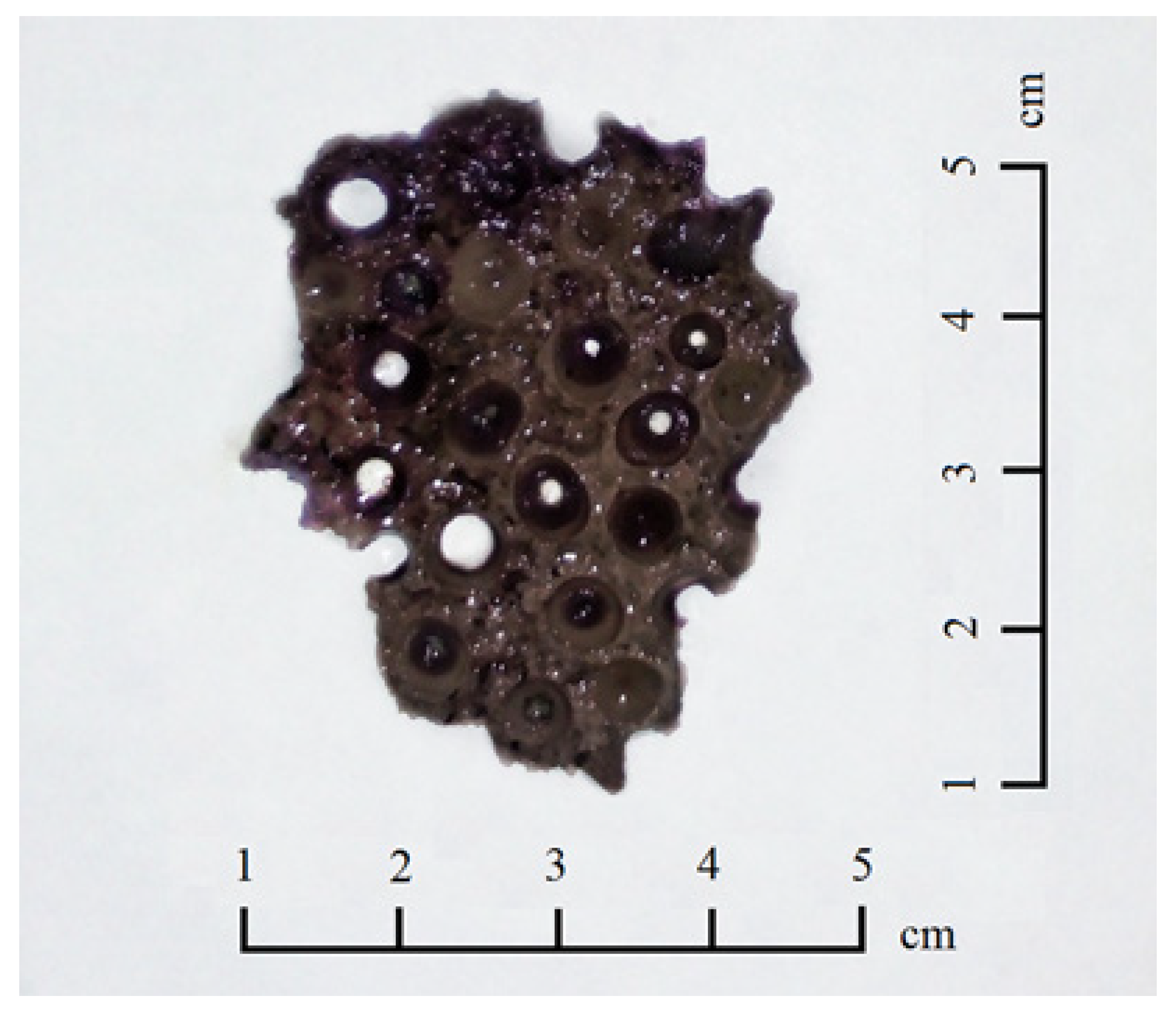 Minerals 10 00538 g011