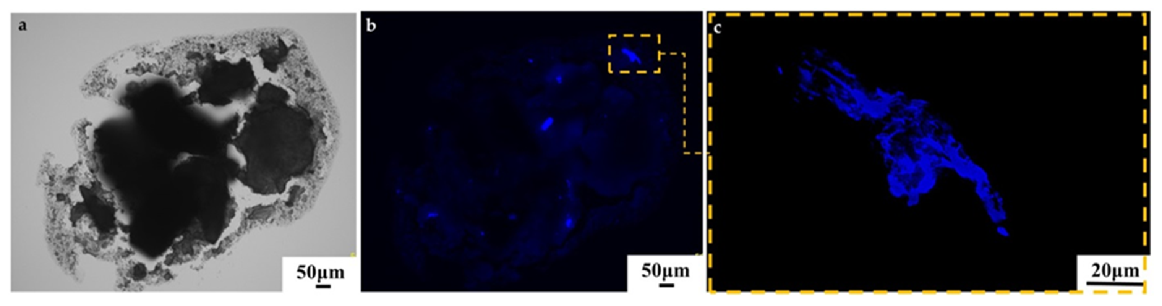 Minerals 10 00540 g019 Minerals 10 00540 g019