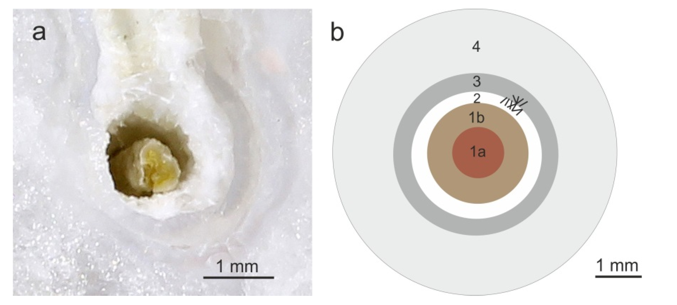 Minerals 10 00540 g022 Minerals 10 00540 g022