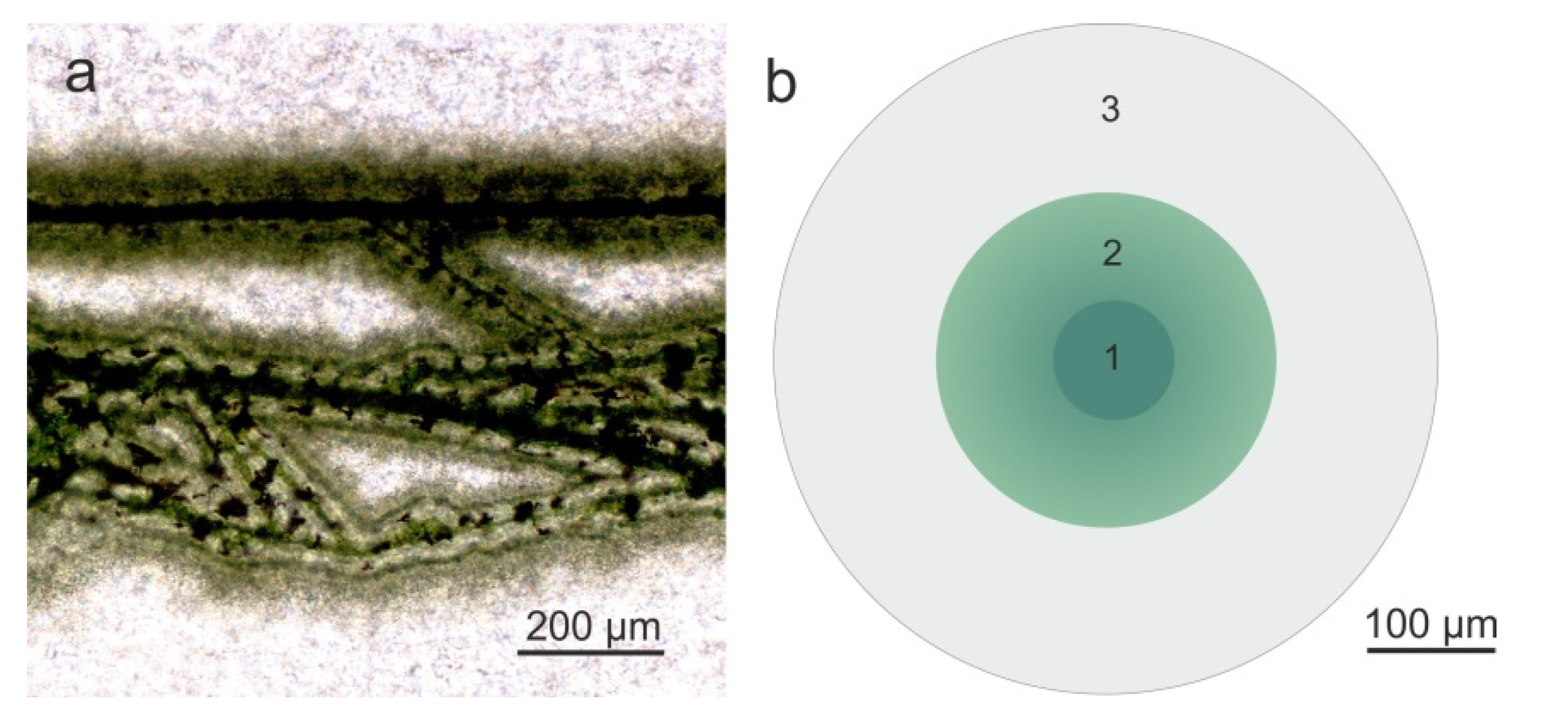 Minerals 10 00540 g023 Minerals 10 00540 g023
