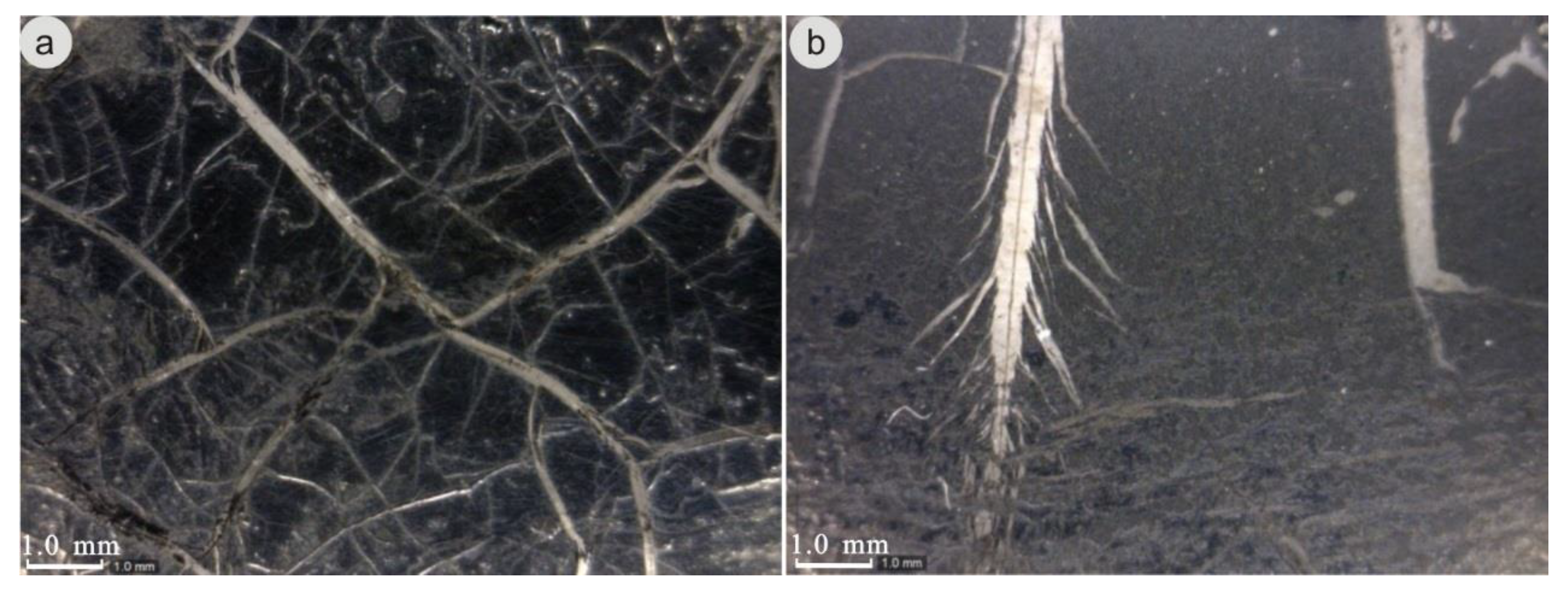 Minerals 10 00543 g004