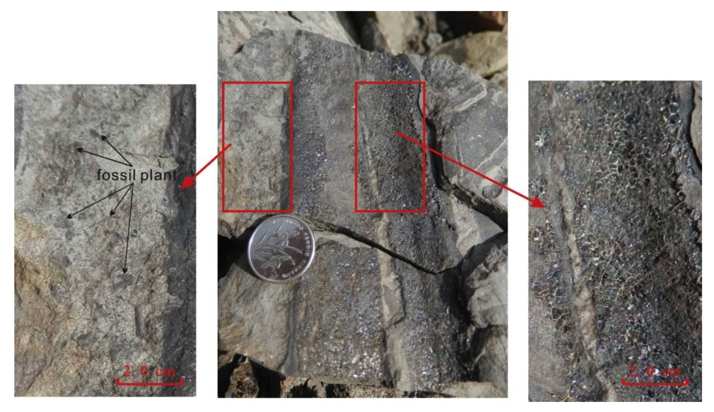 Minerals 10 00543 g009