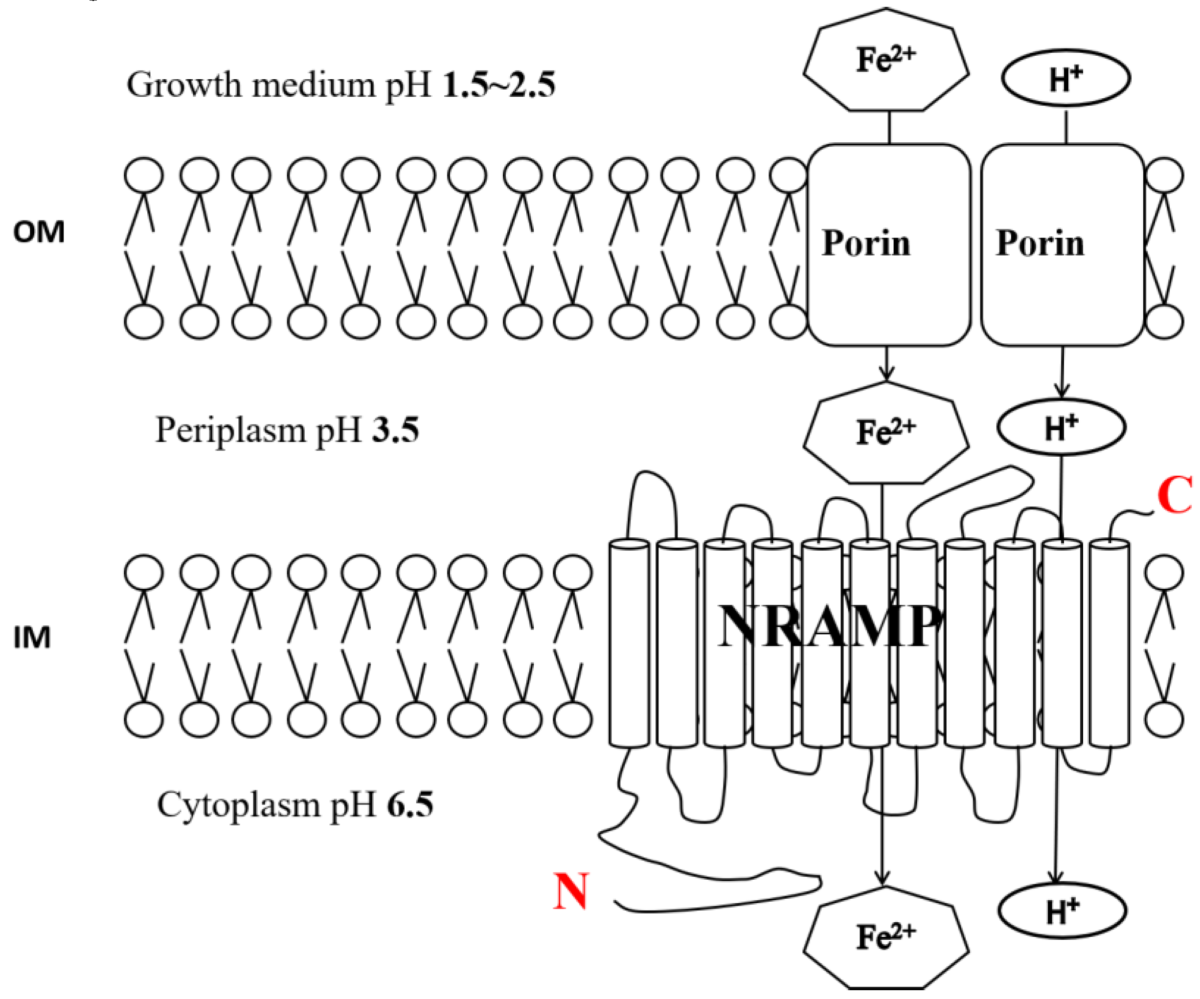 Minerals 10 00544 g004
