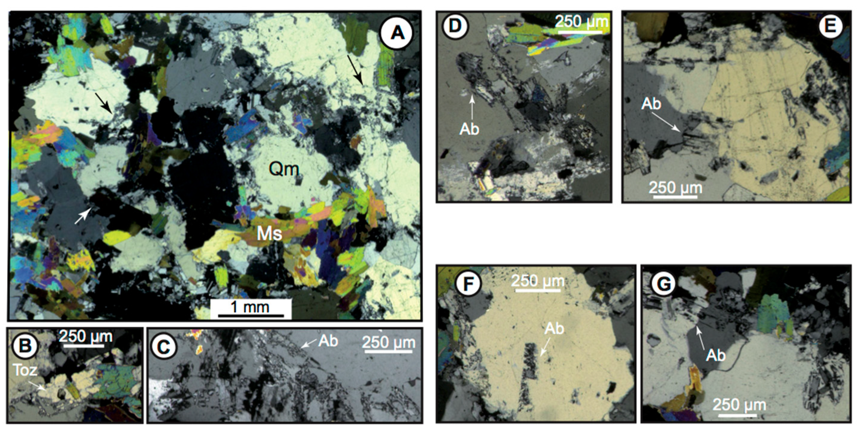 Minerals 10 00562 g005